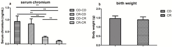 IJMS | Free Full-Text | Maternal Chromium Restriction Leads to 