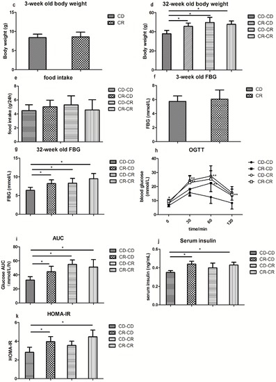 IJMS | Free Full-Text | Maternal Chromium Restriction Leads to 