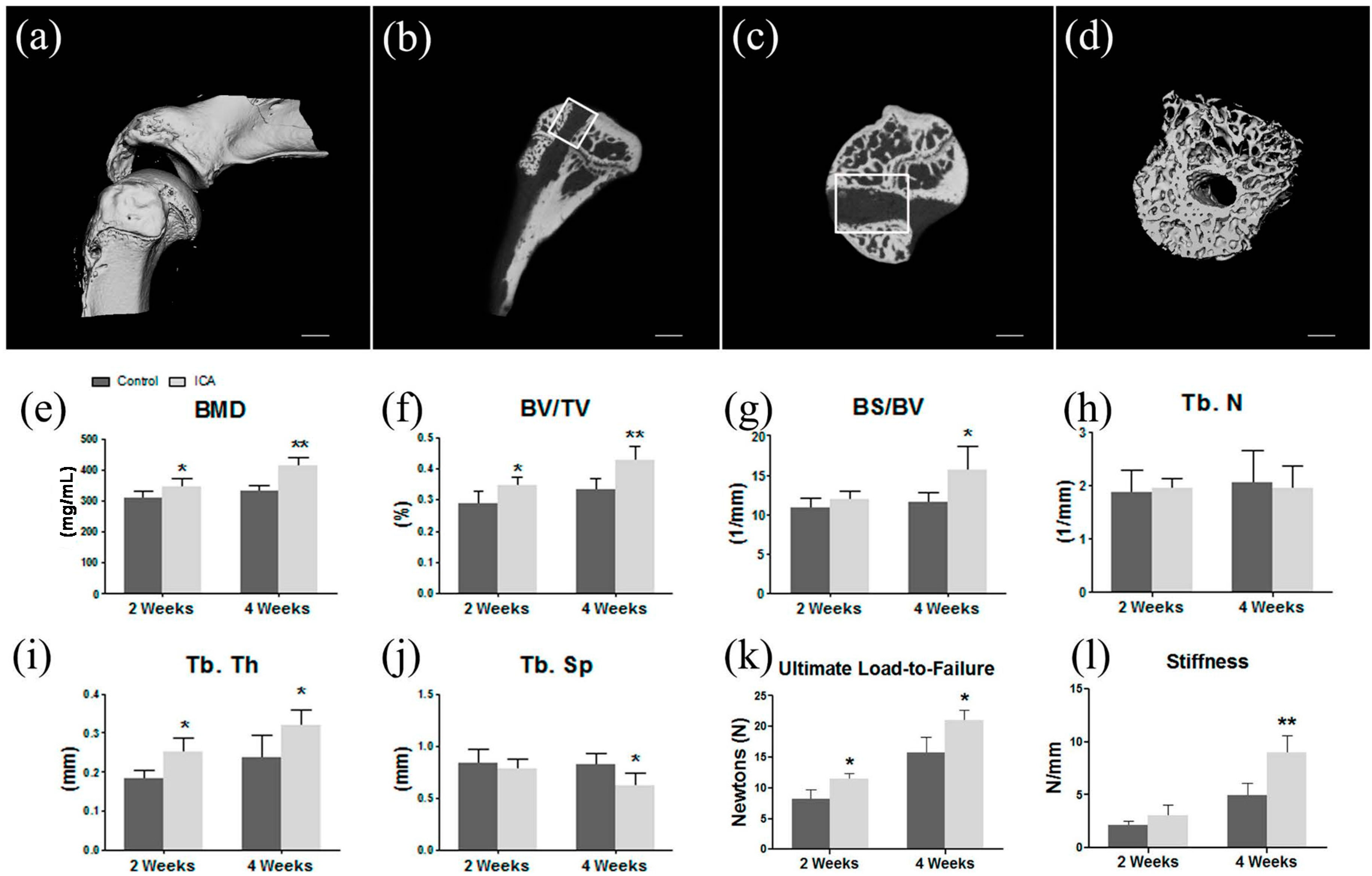 Ijms 17 01780 g001 550