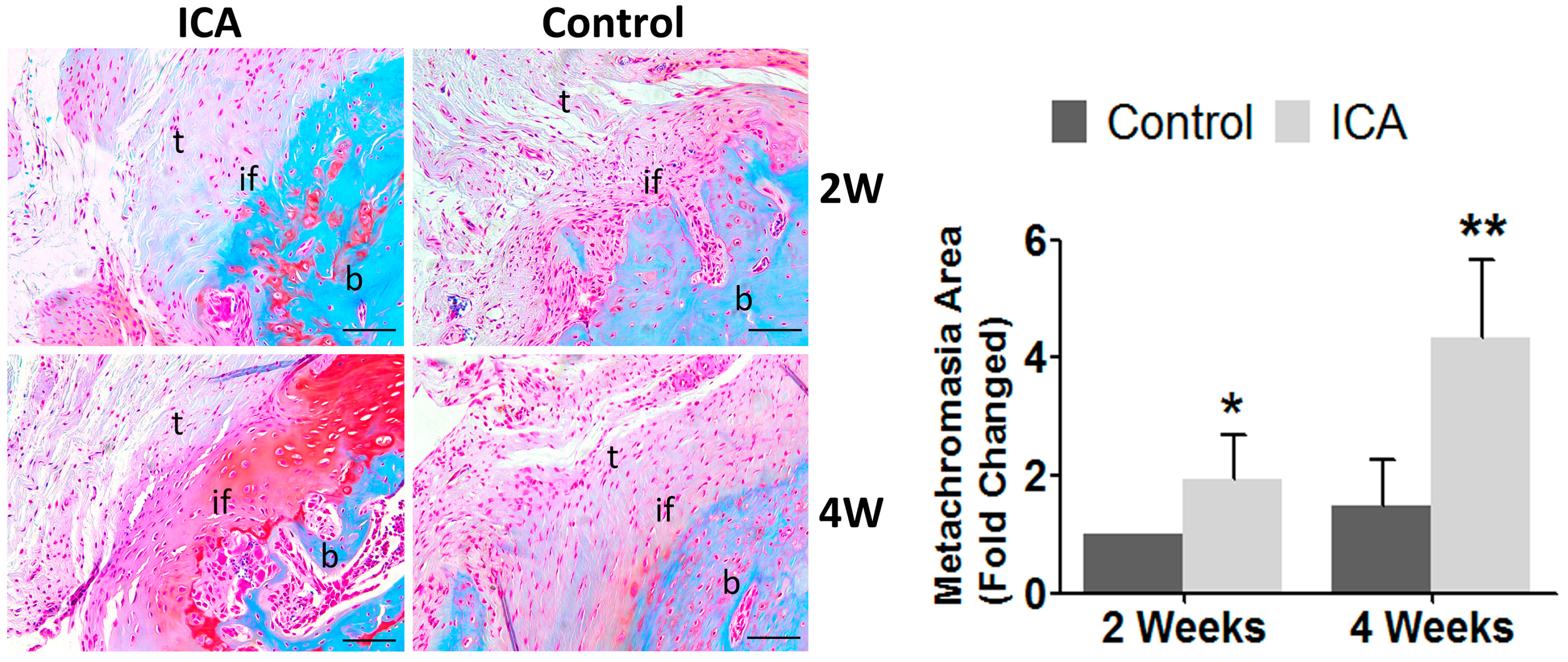 Ijms 17 01780 g003 550