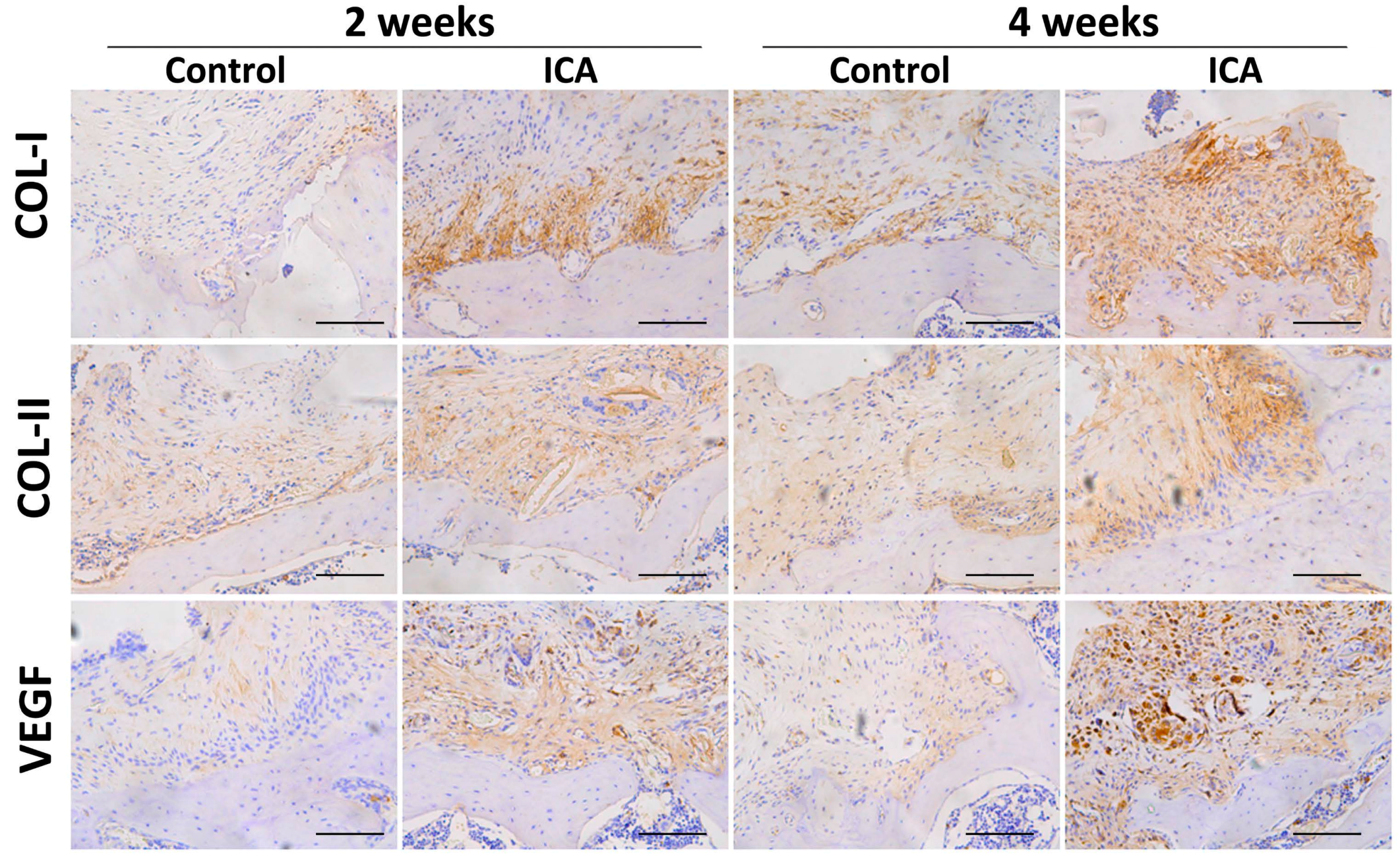 Ijms 17 01780 g004 550