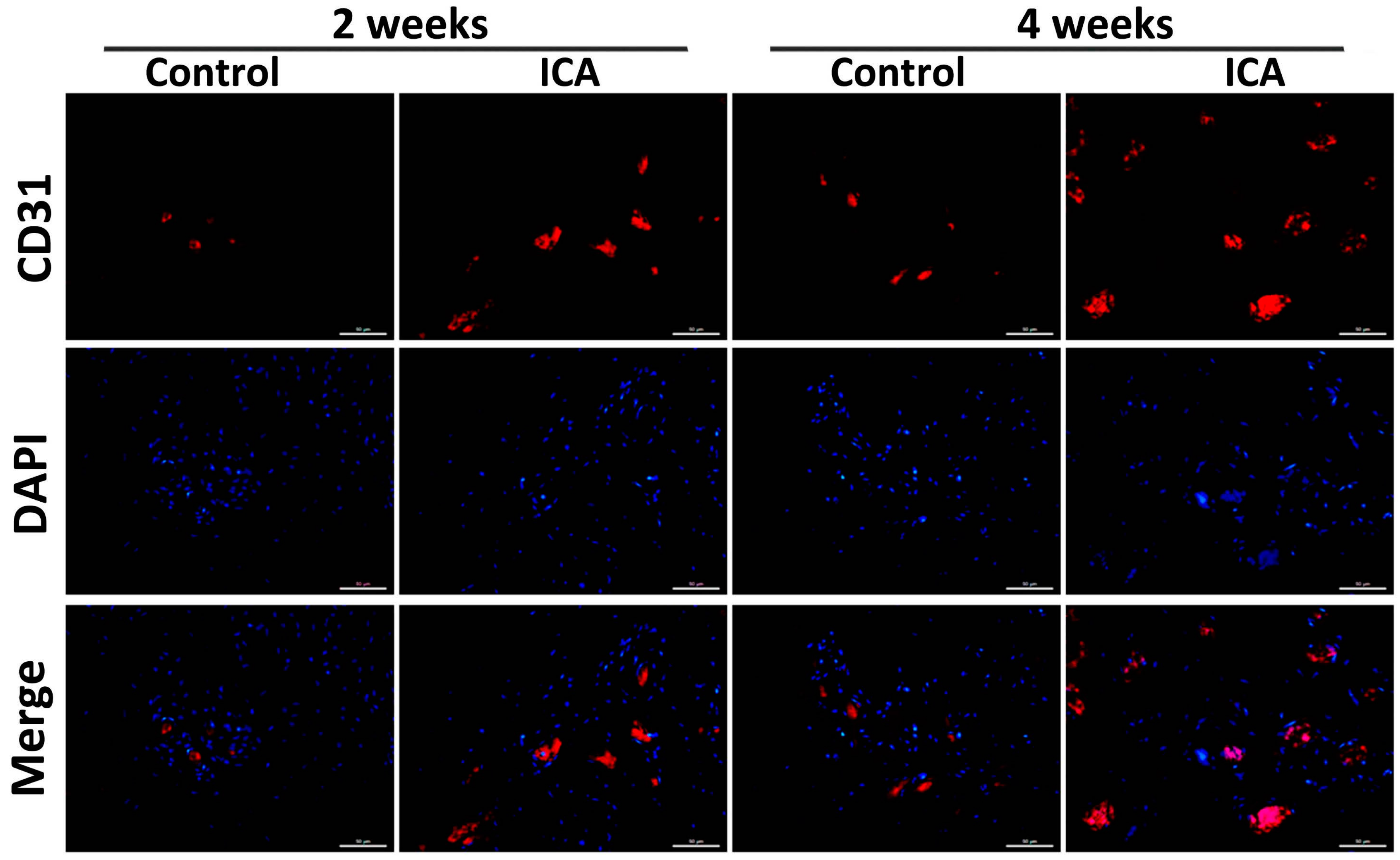 Ijms 17 01780 g005 550