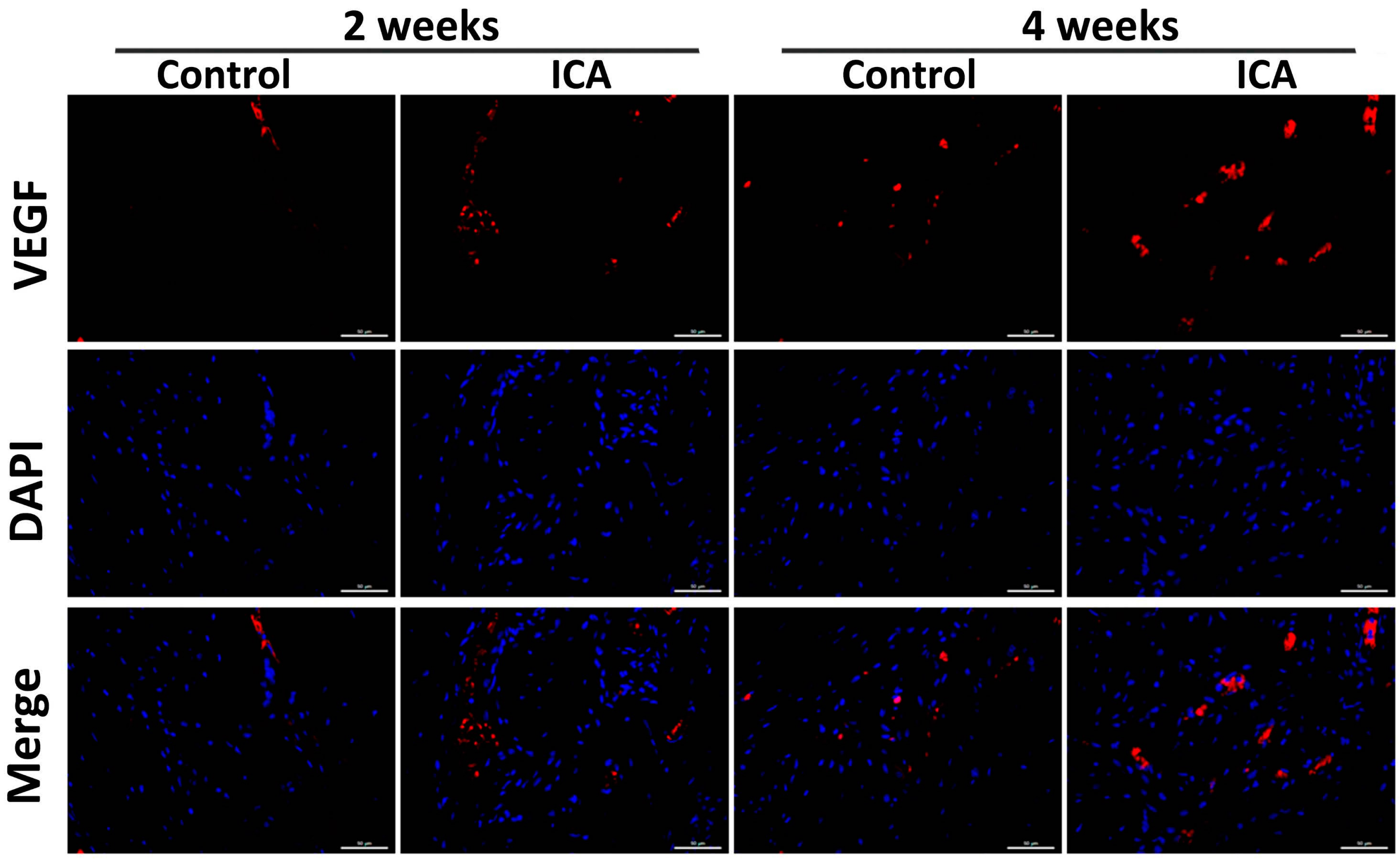 Ijms 17 01780 g006 550