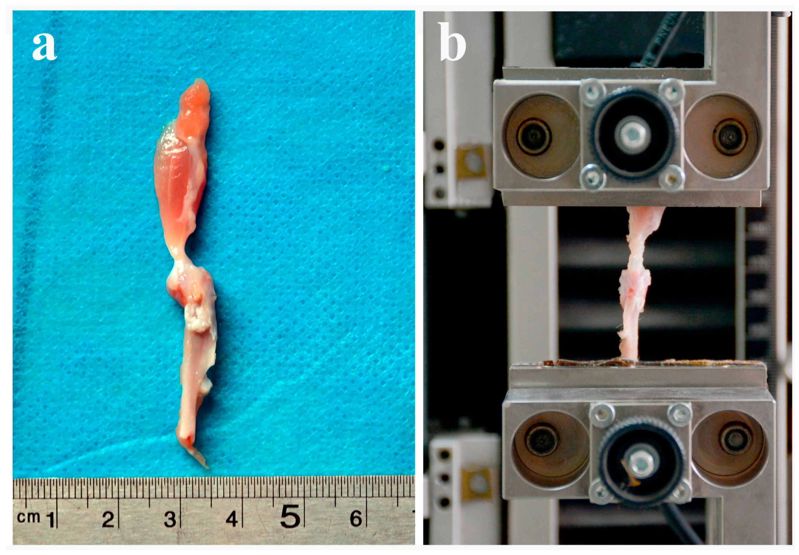 Ijms 17 01780 g008 550