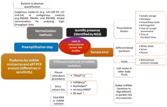 Prostate Cancer Detection and Prognosis: From Prostate