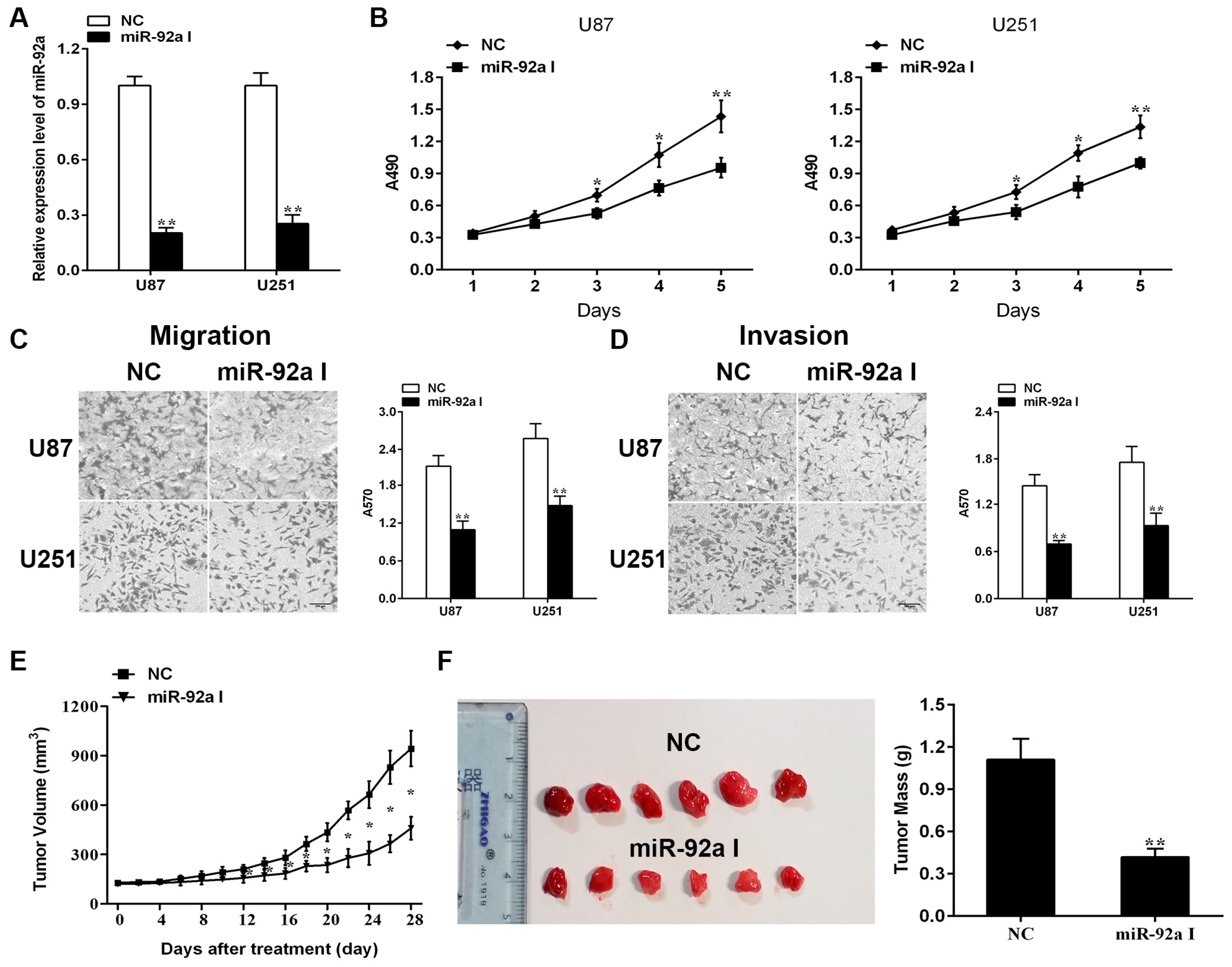 Ijms 17 01799 g001