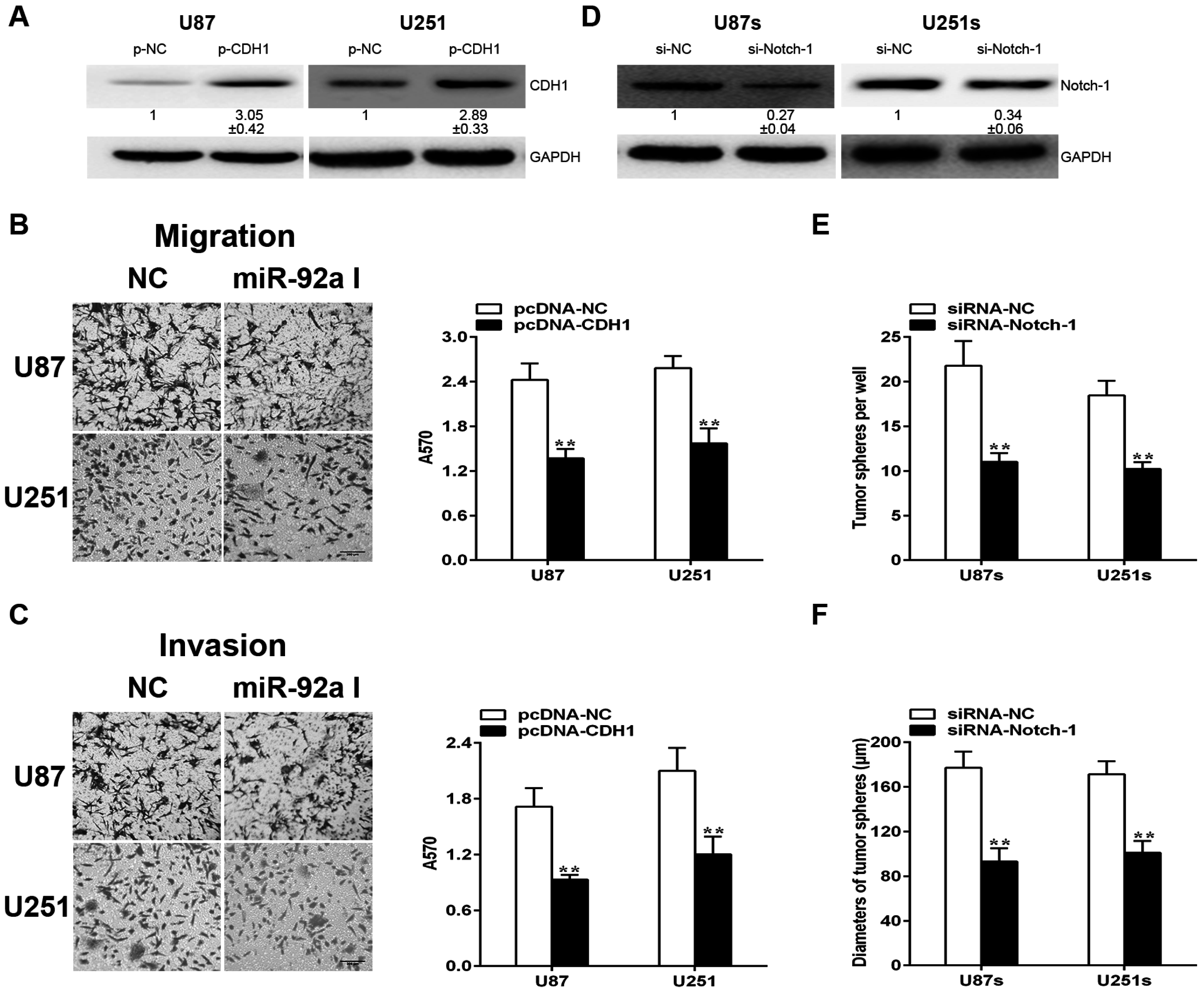Ijms 17 01799 g006
