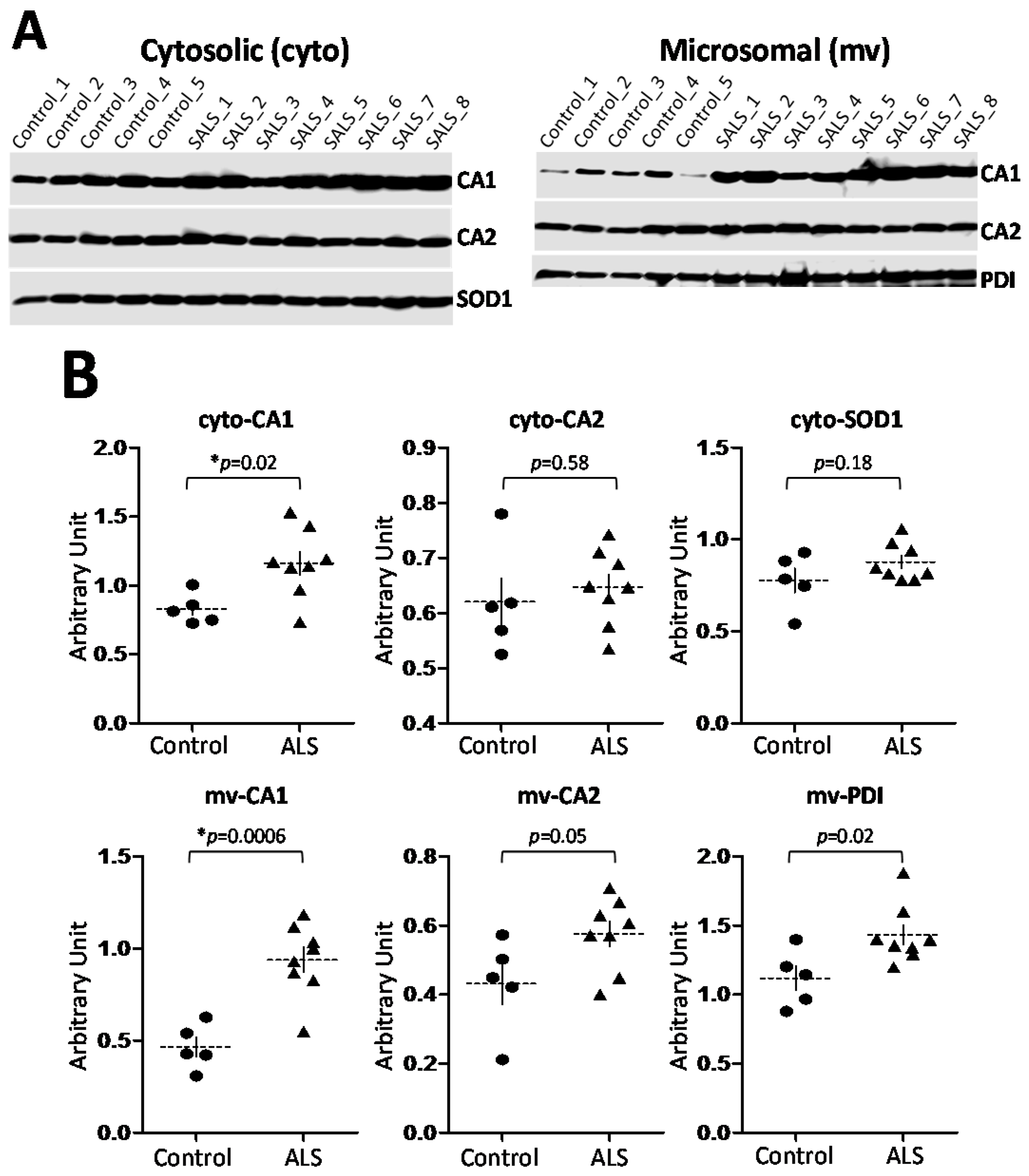Ijms 17 01820 g003 550