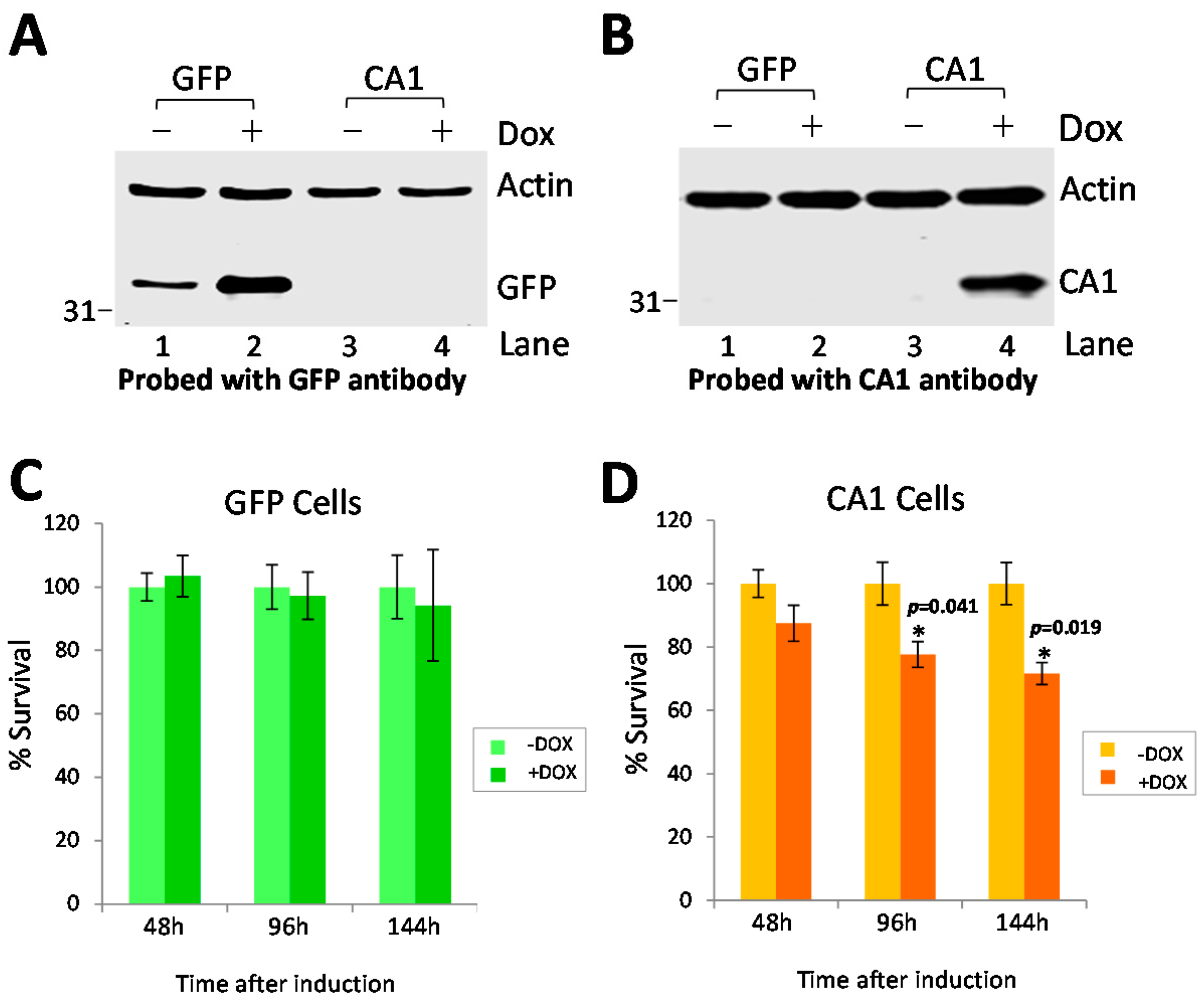 Ijms 17 01820 g005 550