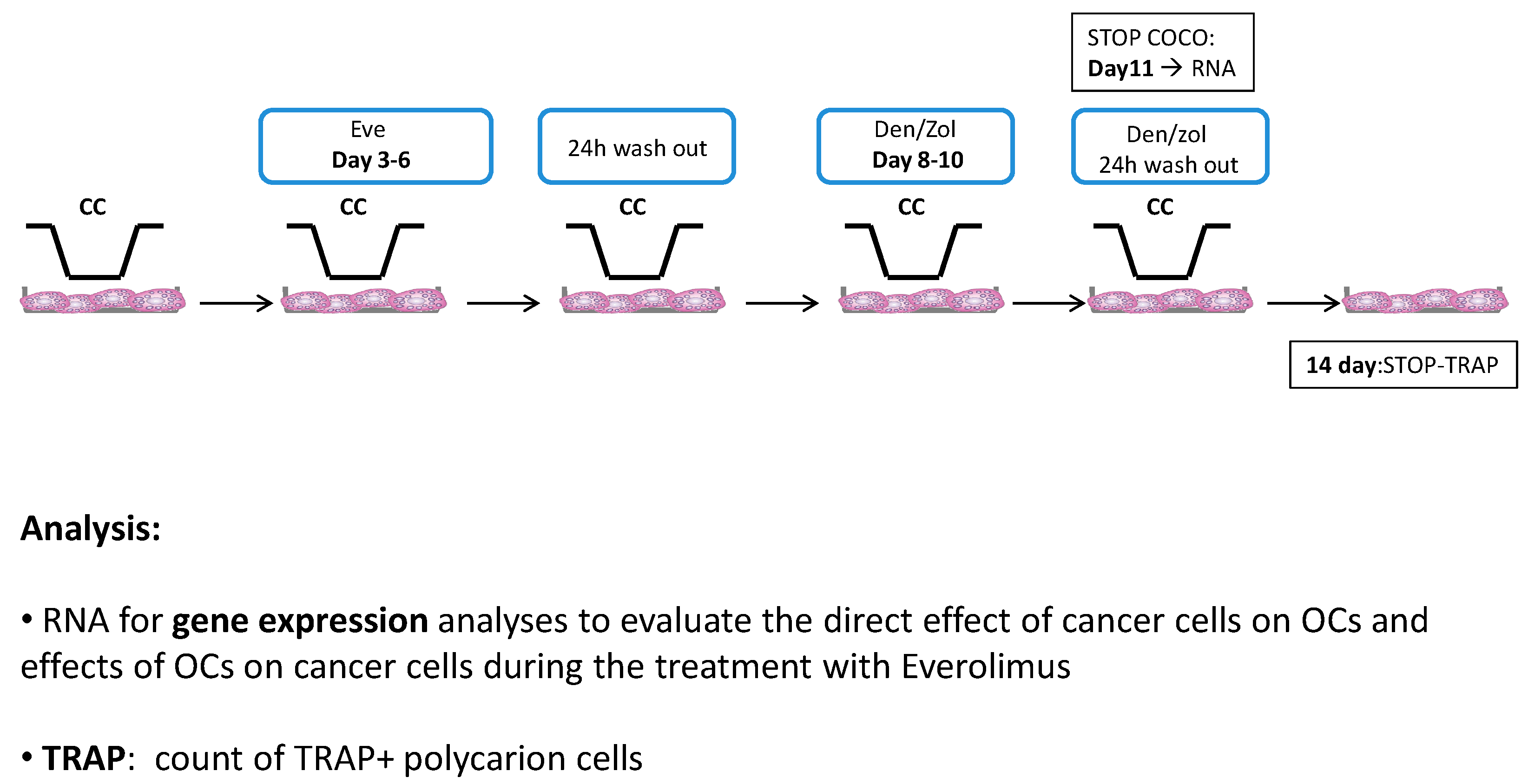 Ijms 17 01827 g009 550