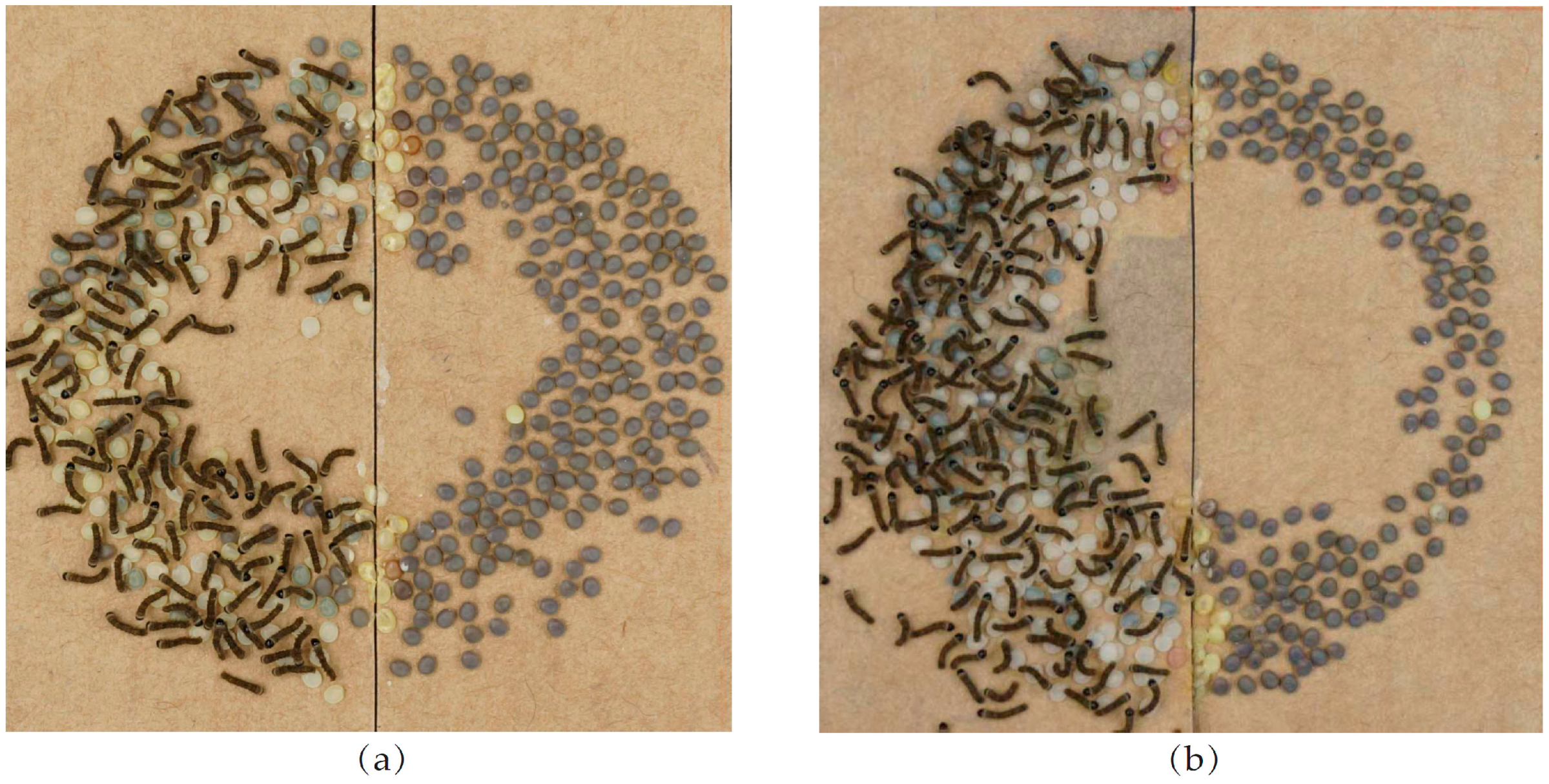 Ijms 17 01838 g001 550