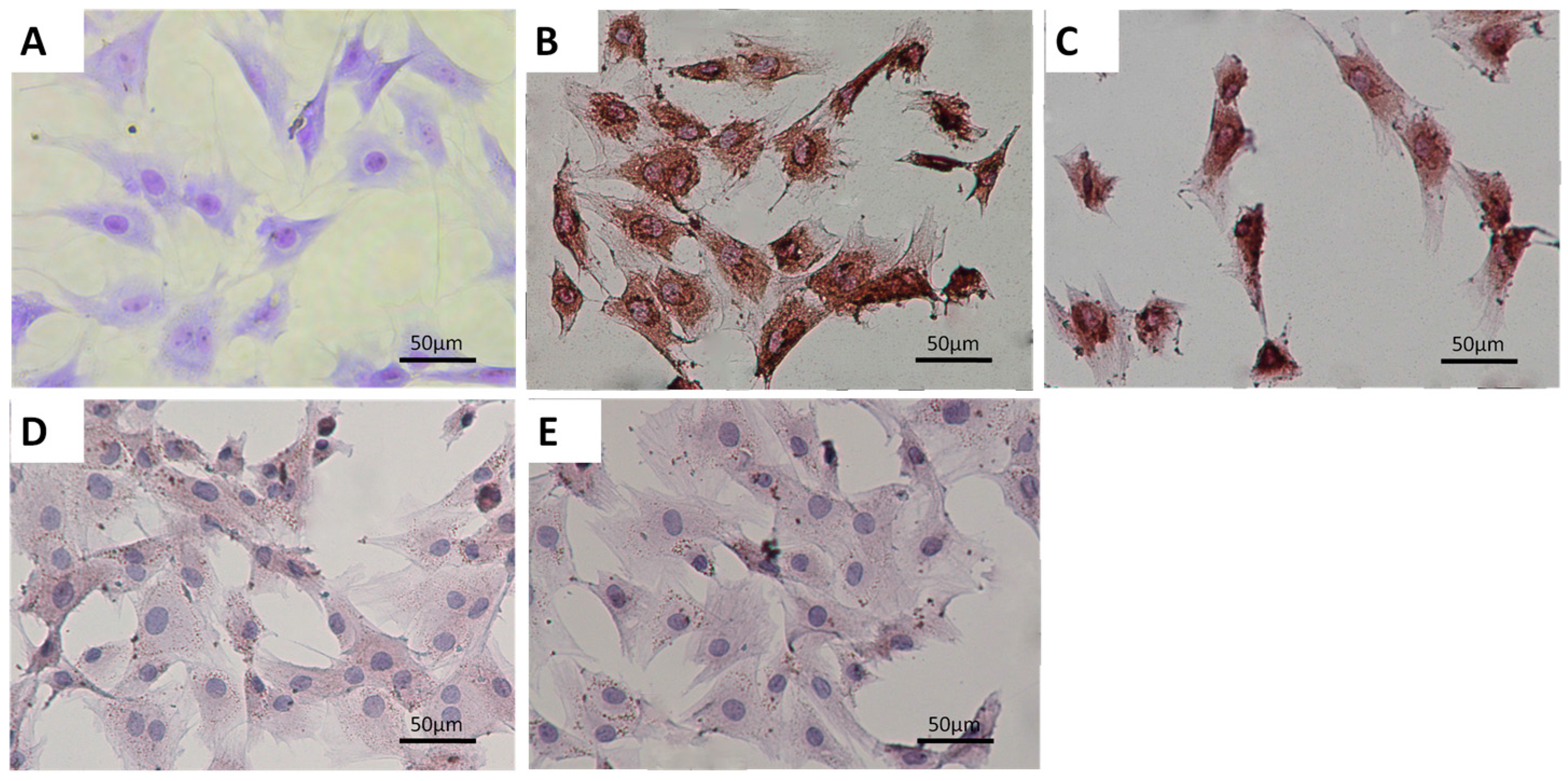 Ijms 17 01847 g001 550