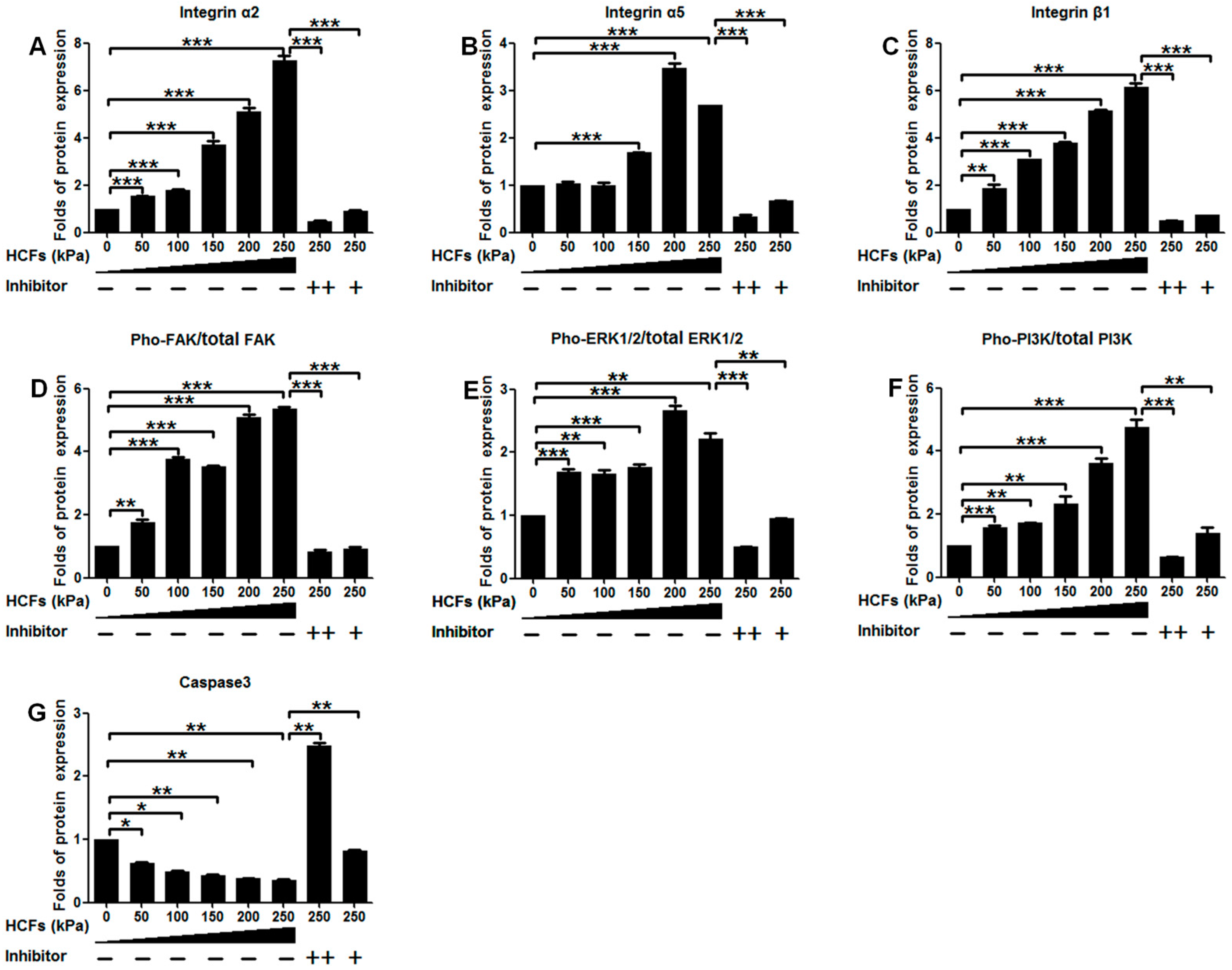 Ijms 17 01847 g007a 550