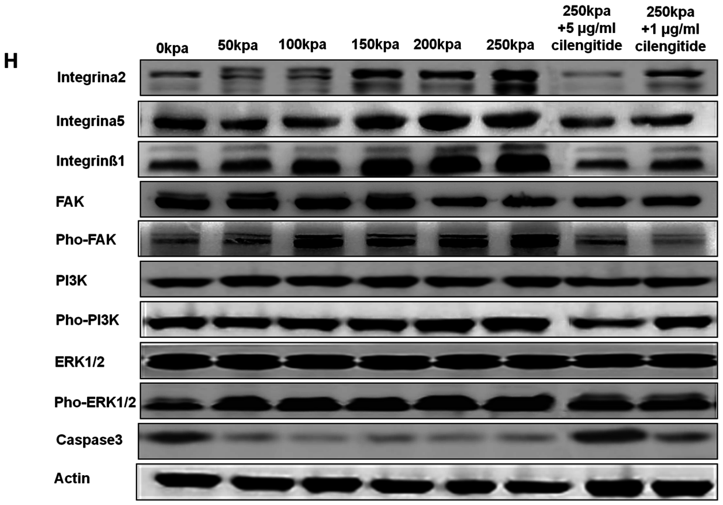 Ijms 17 01847 g007b 550