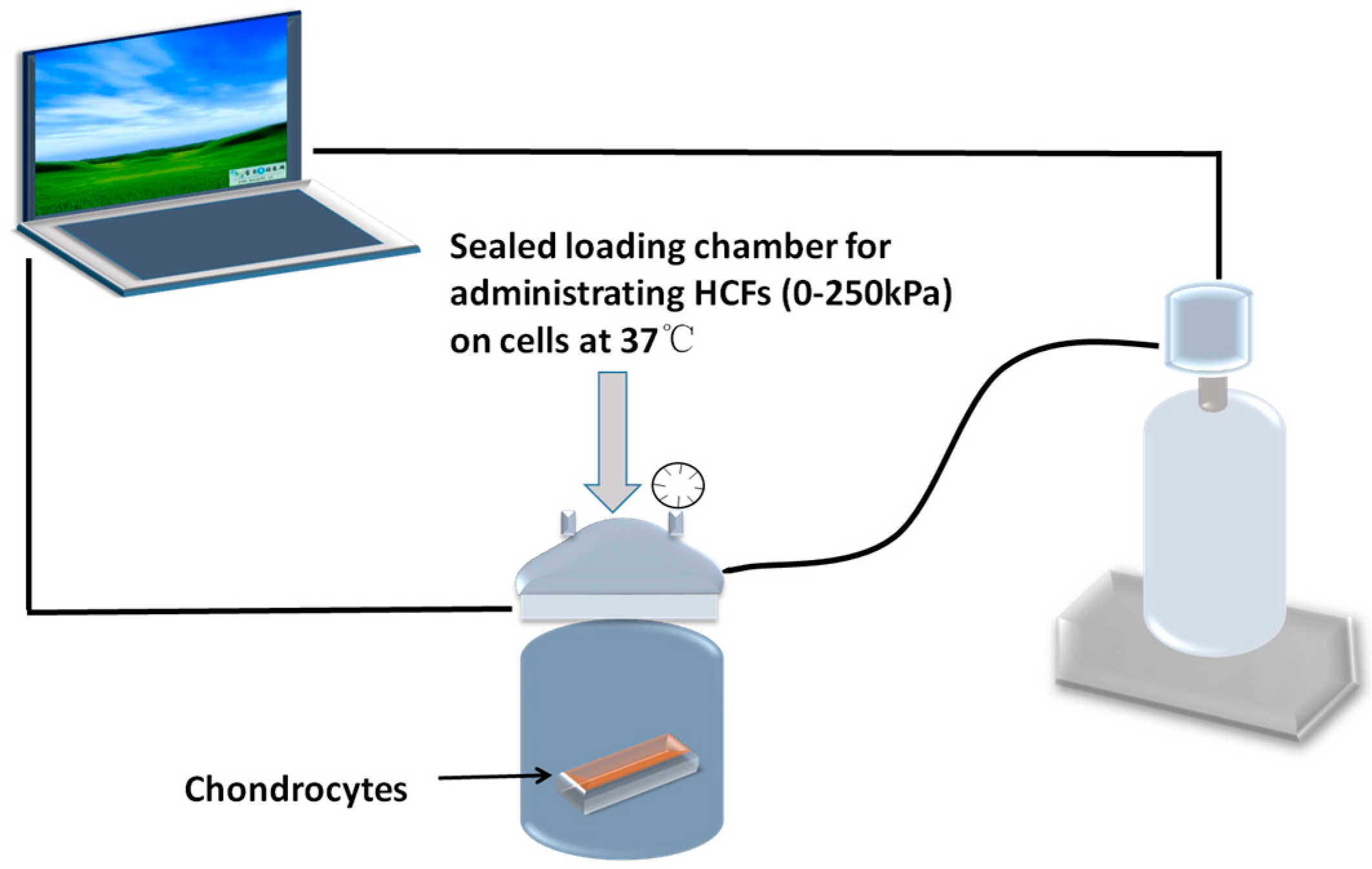 Ijms 17 01847 g008 550
