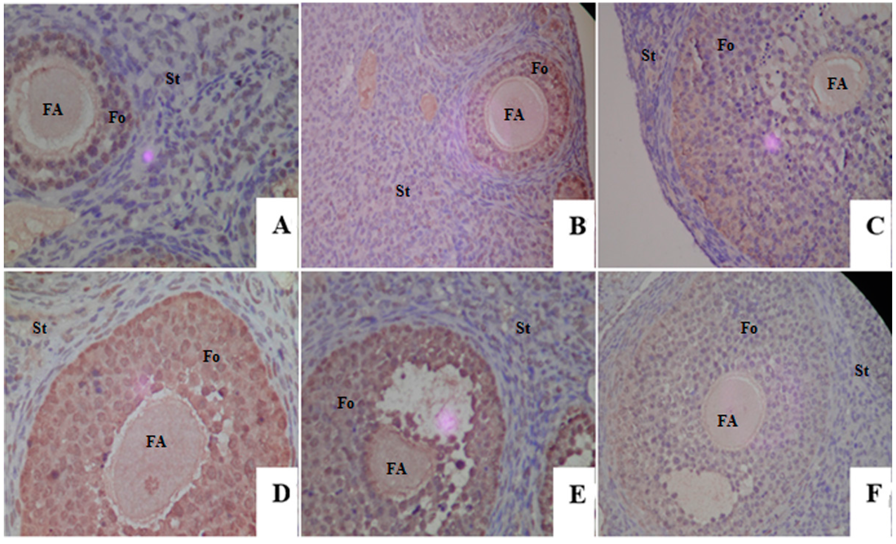 Ijms 17 01855 g003