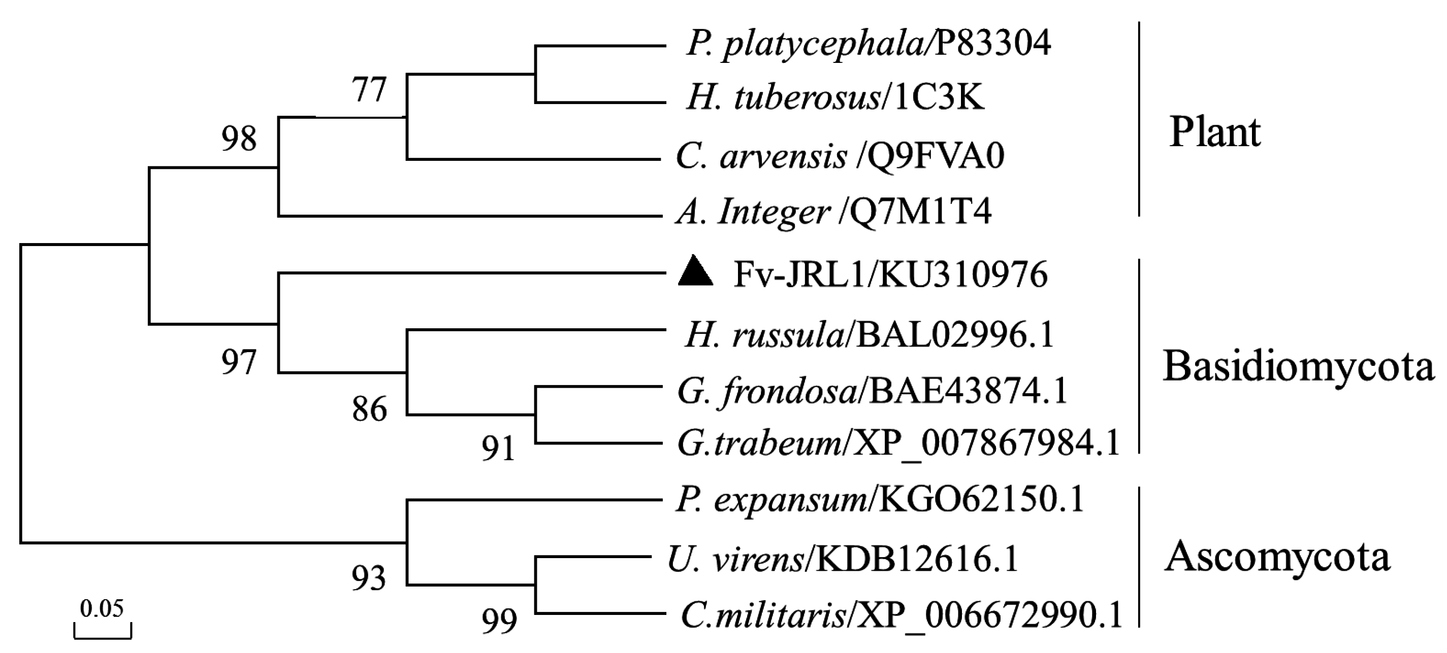 Ijms 17 01884 g001 550