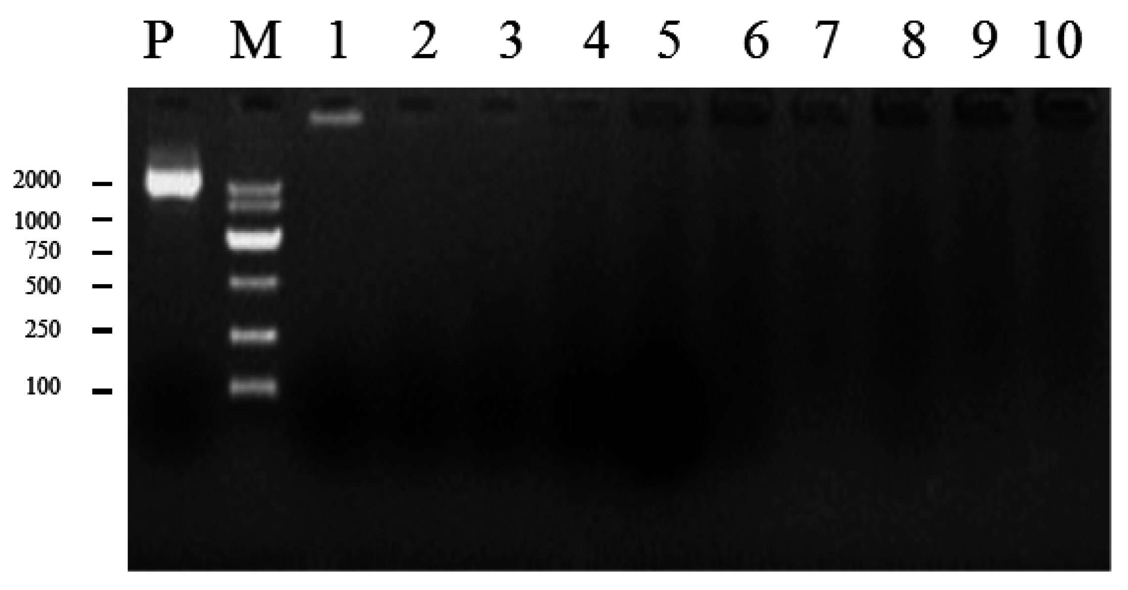 Ijms 17 01884 g003 550