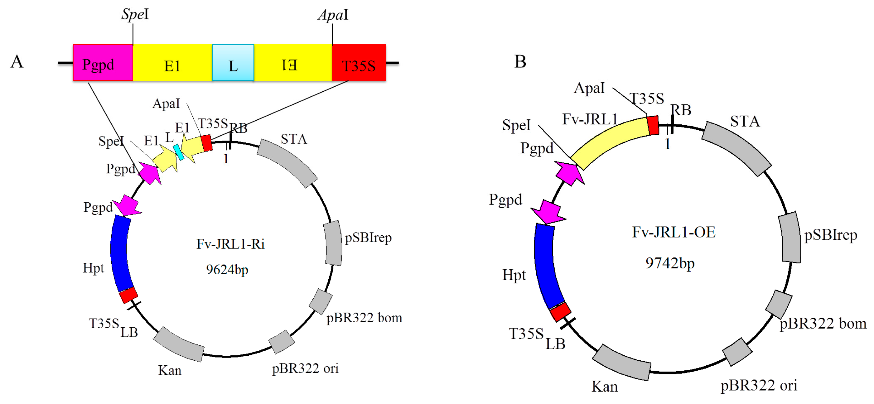 Ijms 17 01884 g006 550