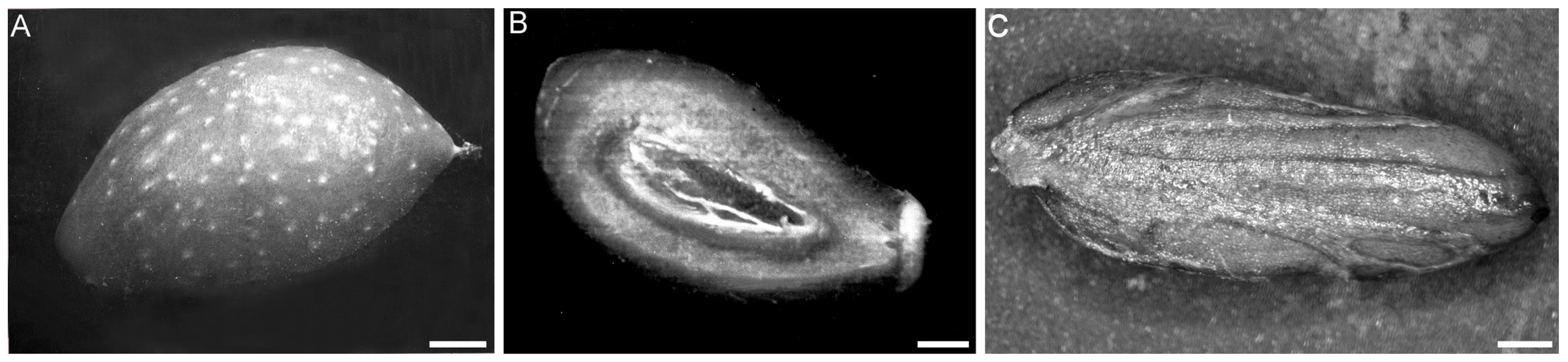 Ijms 17 01889 g001