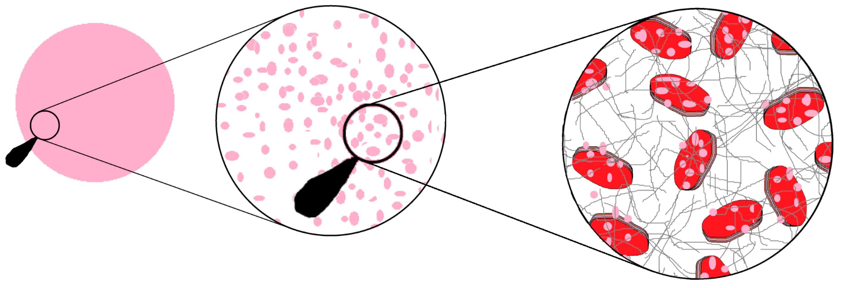 Ijms 17 01897 g008 550