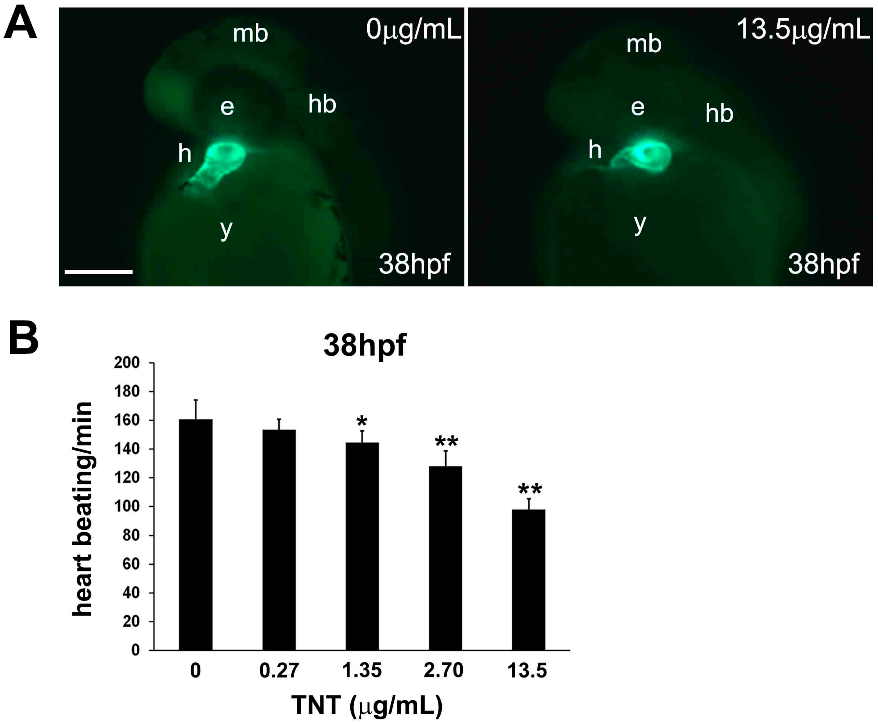 Ijms 17 01925 g002 550