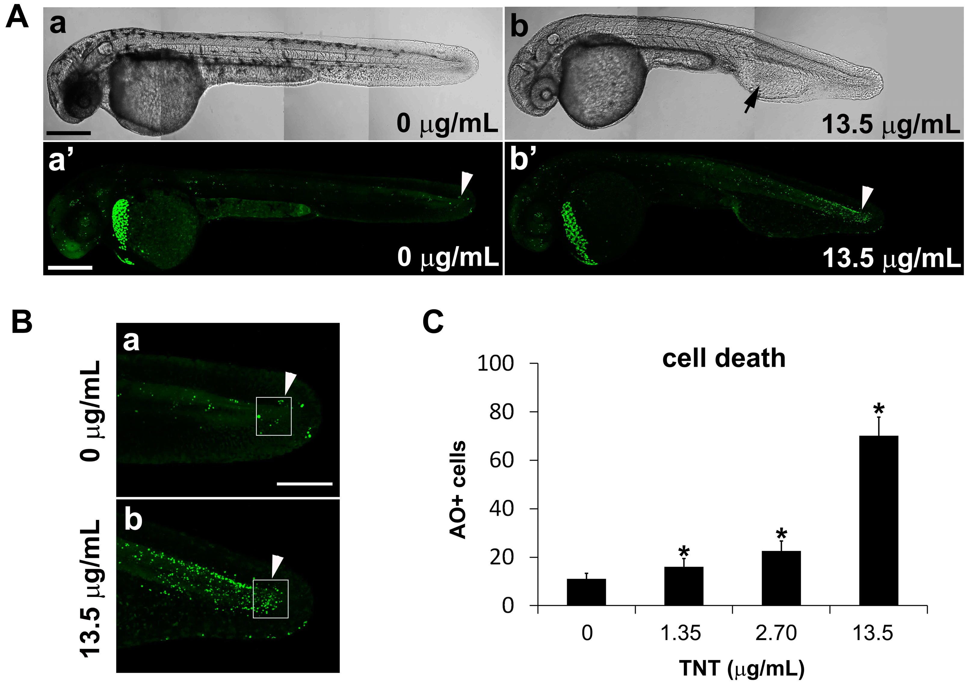 Ijms 17 01925 g005 550