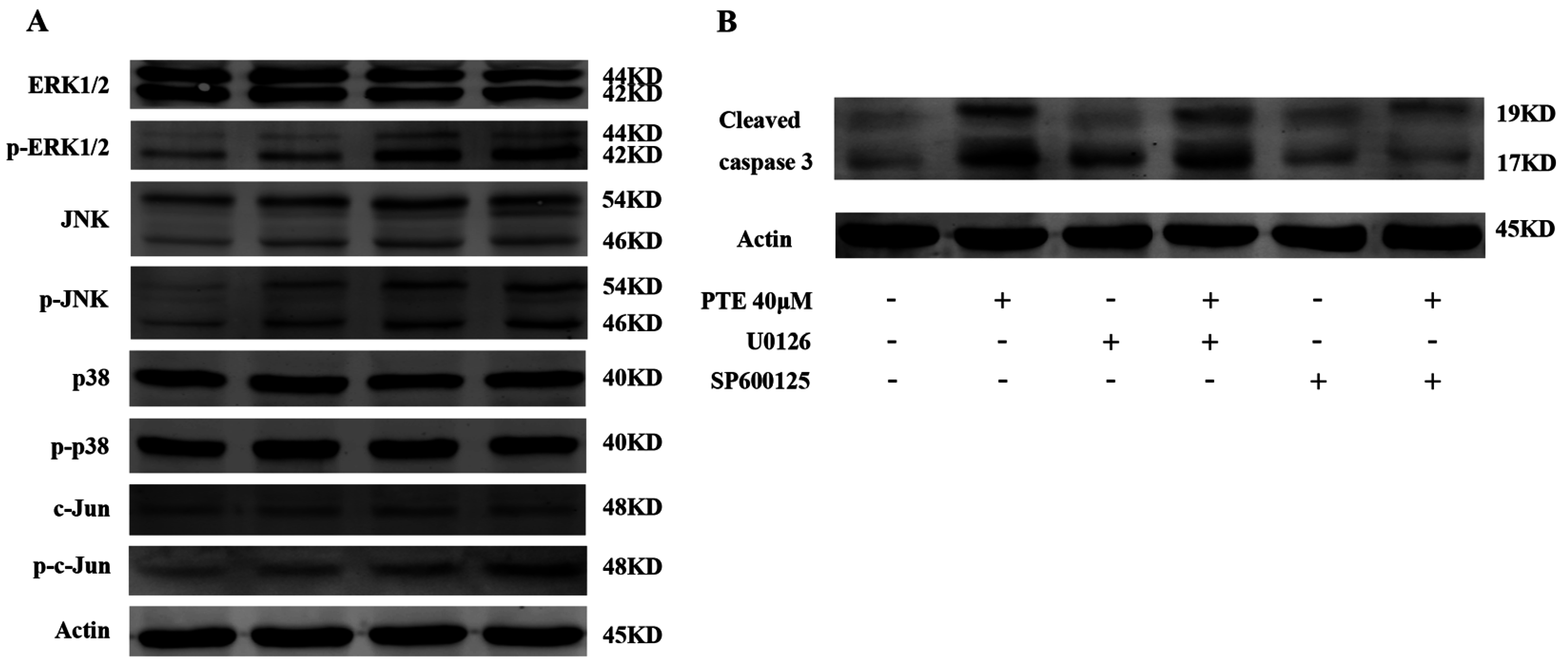 Ijms 17 01927 g005