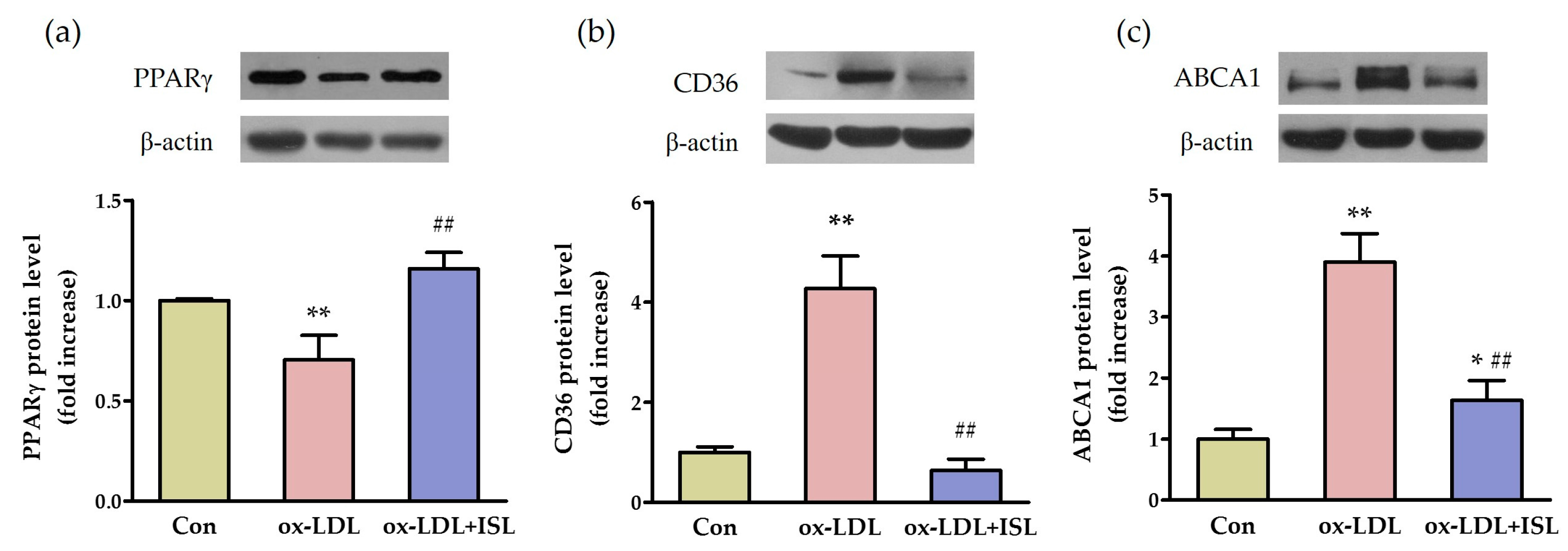 Ijms 17 01932 g002 550