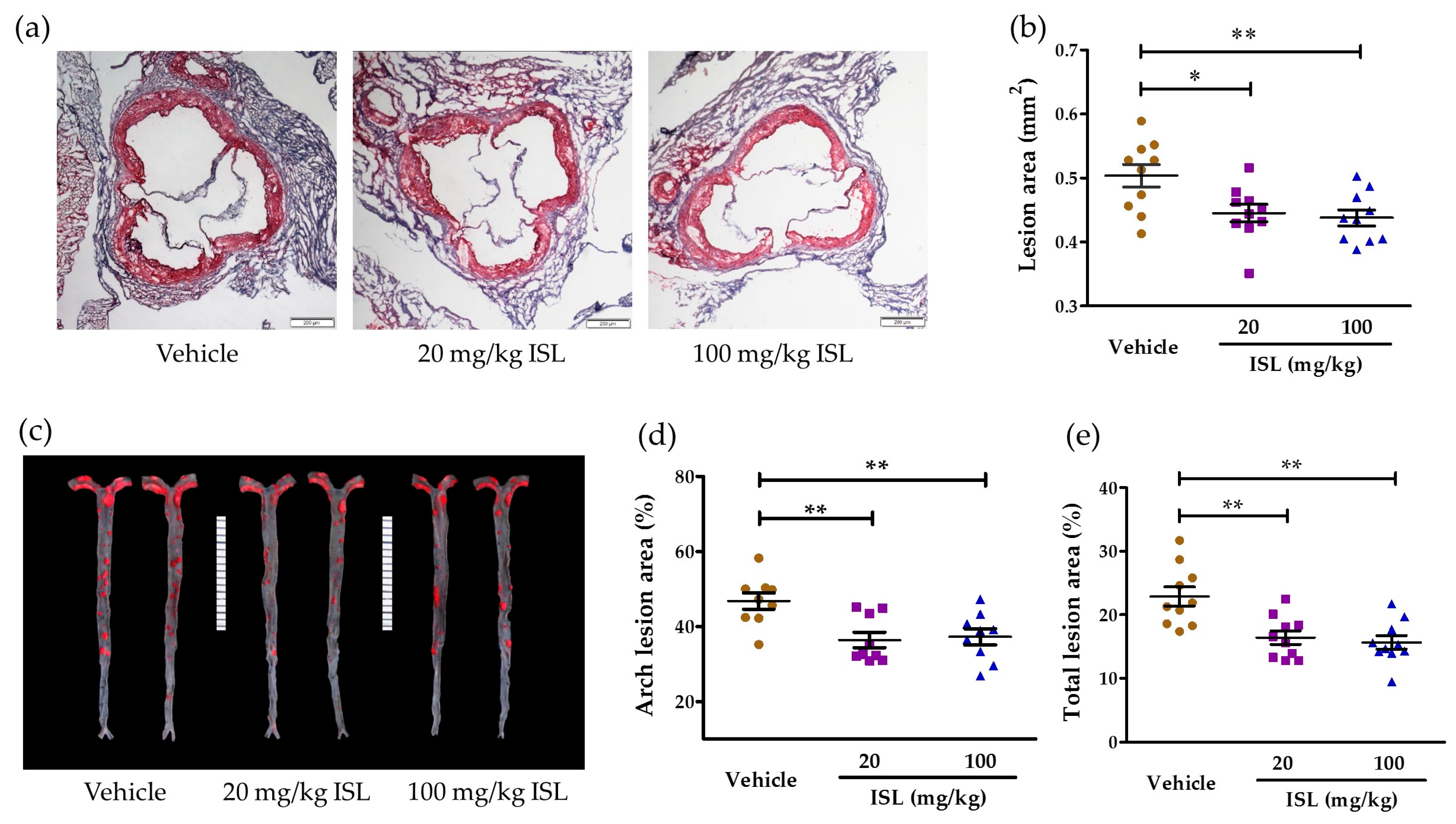 Ijms 17 01932 g004 550