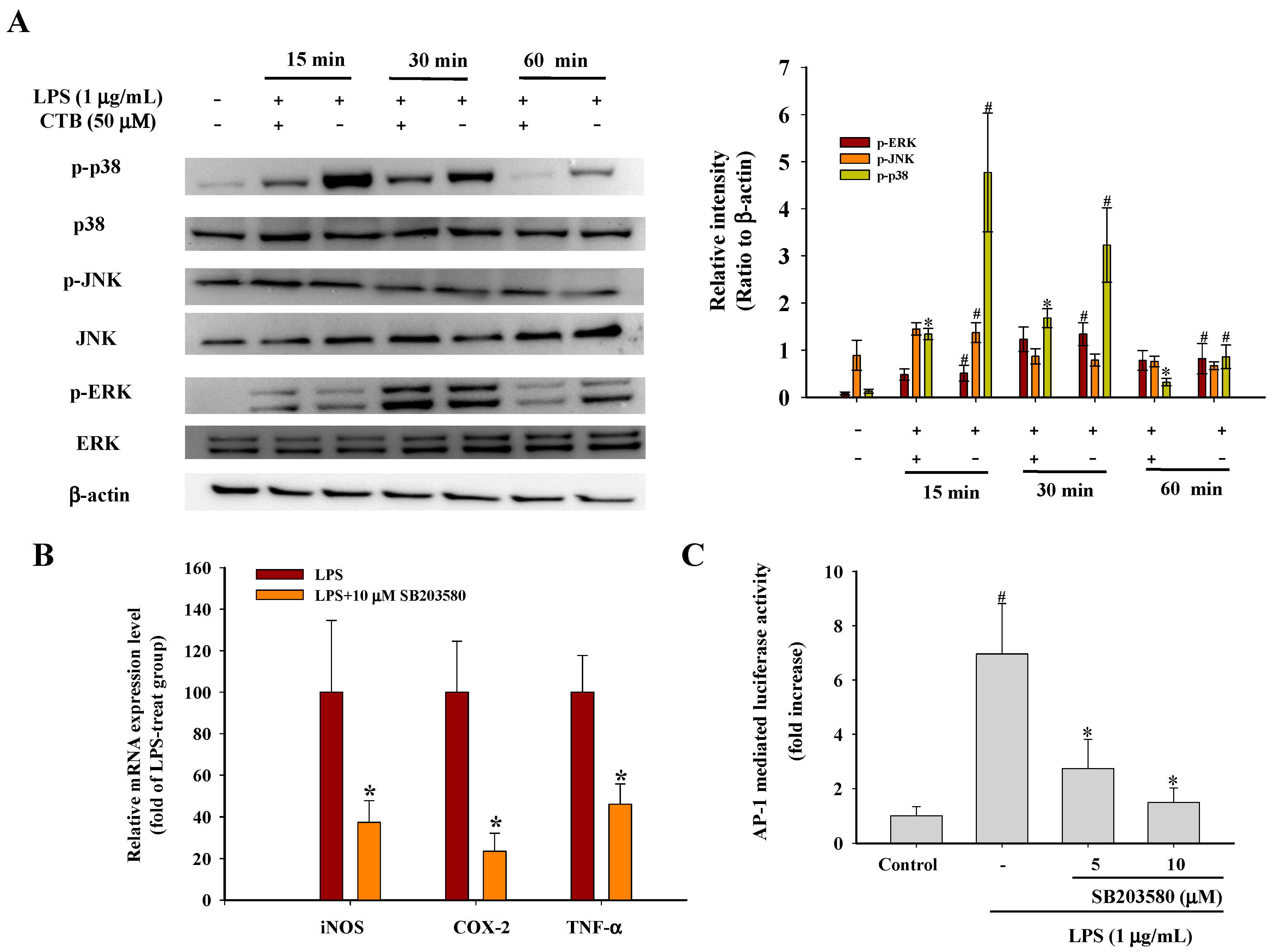 Ijms 17 01938 g005a 550