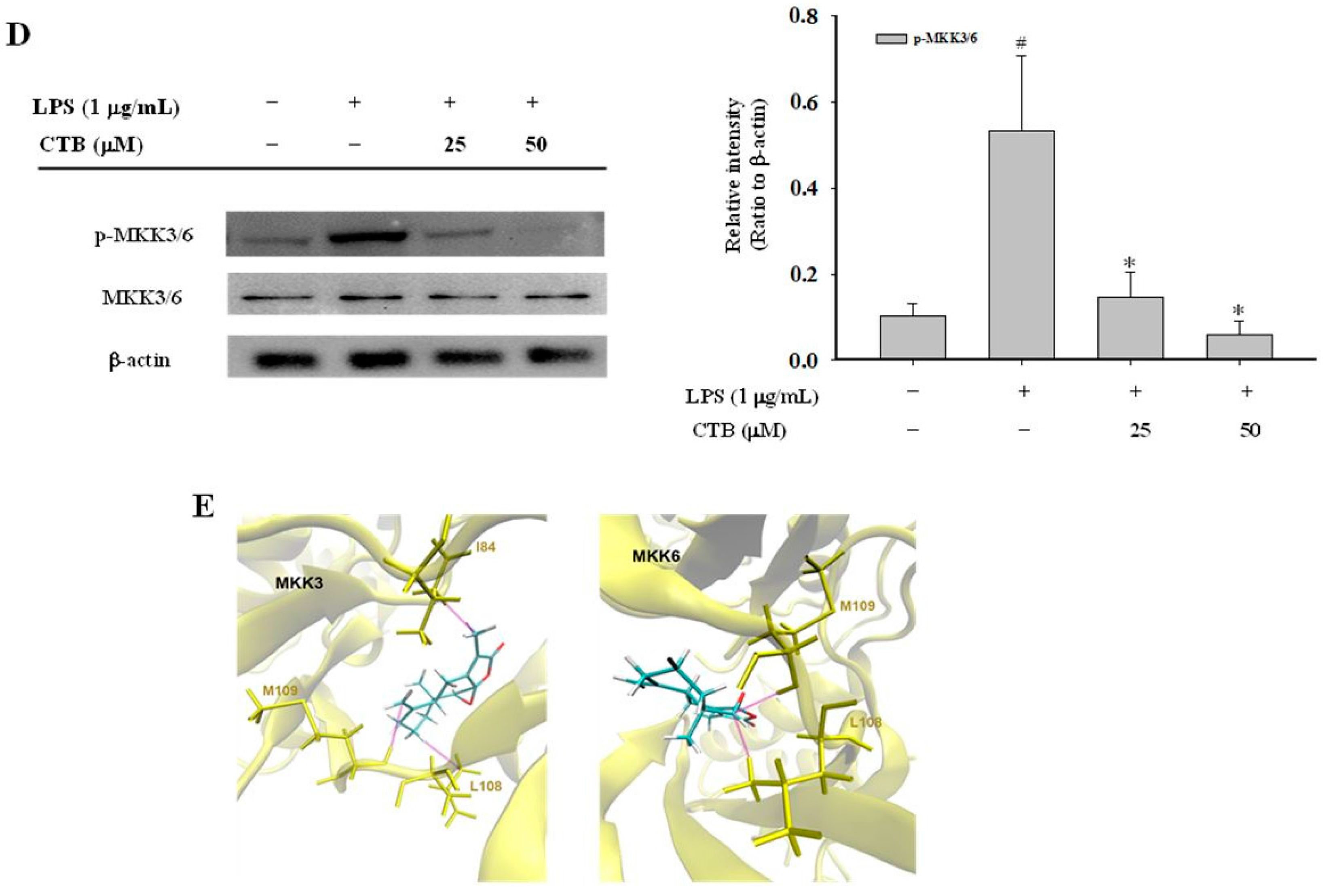 Ijms 17 01938 g005b 550