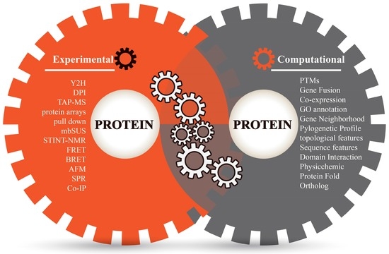 Prediction of Protein–Protein Interactions by Evidence Combining 