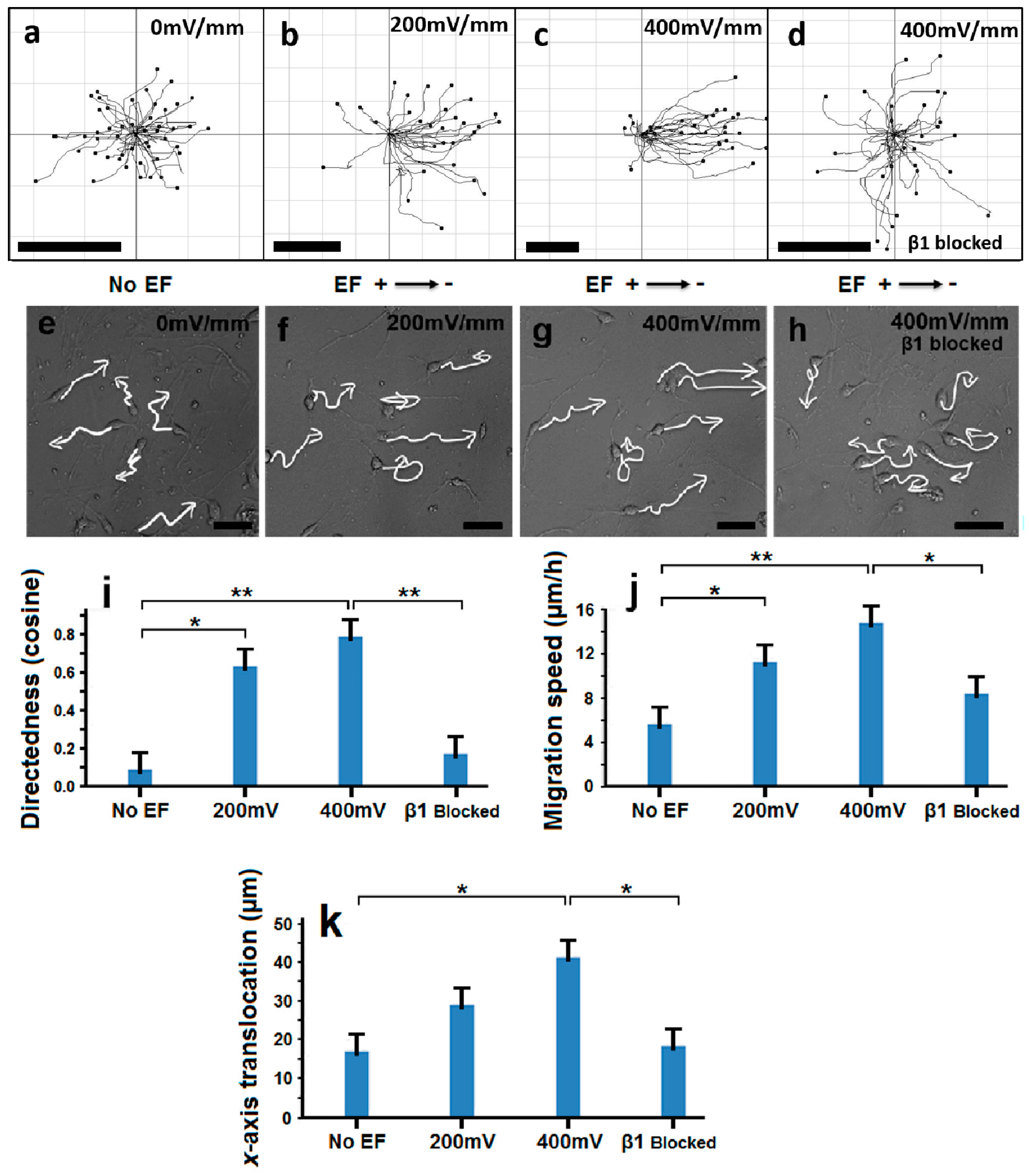 Ijms 17 01948 g002 550