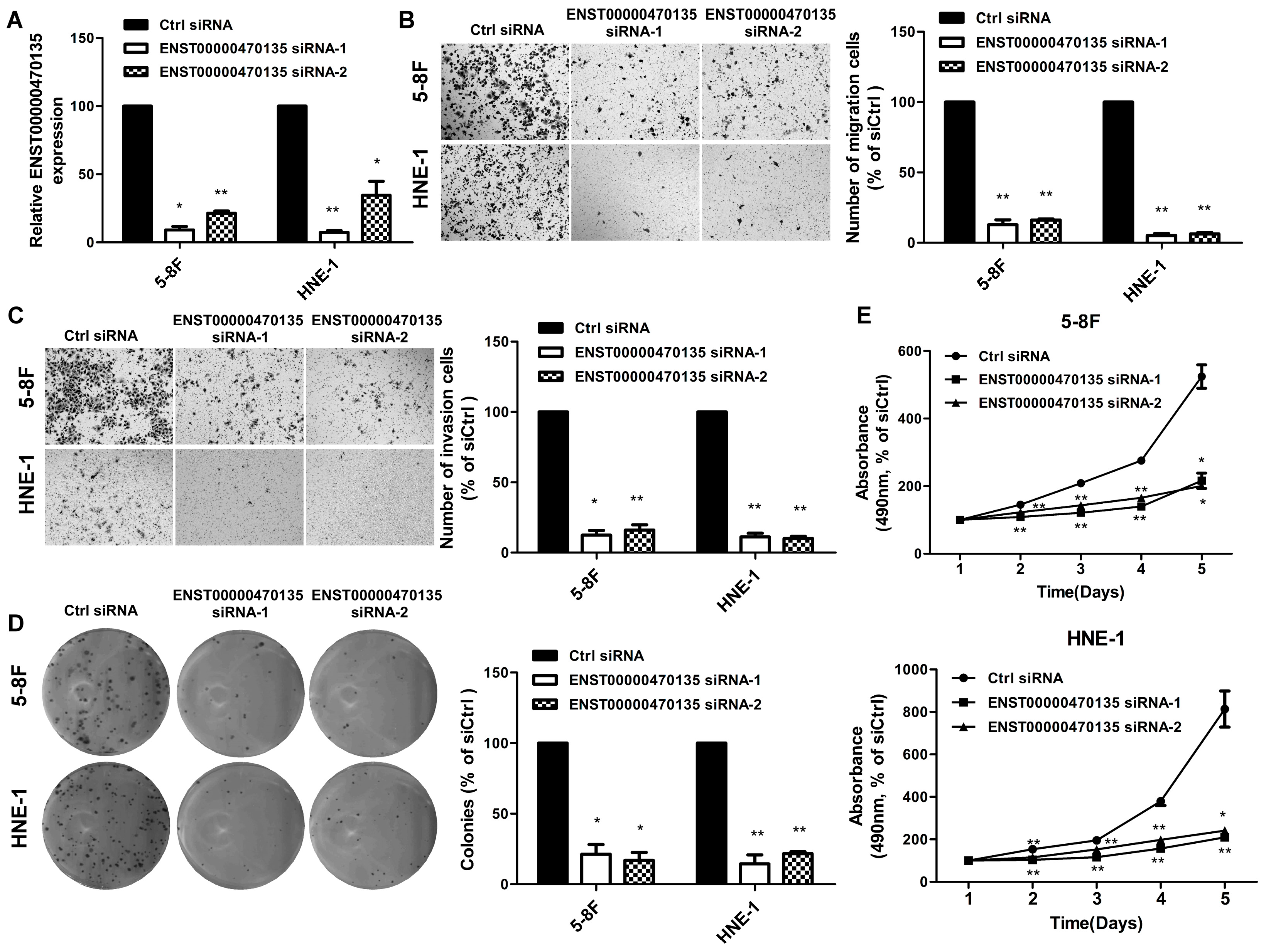 Ijms 17 01956 g005 550
