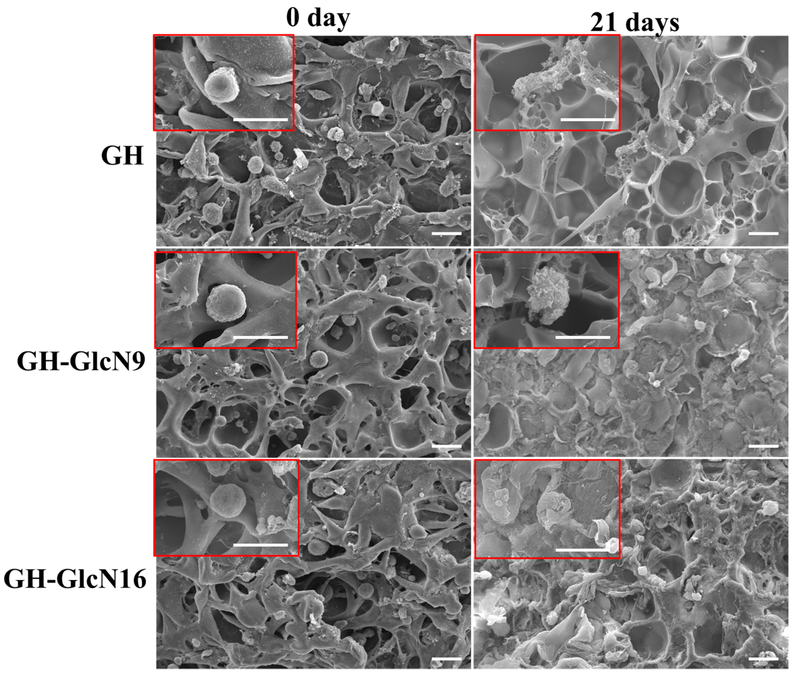 Ijms 17 01957 g008