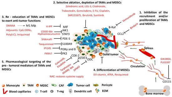 The Integration of Thermal Energy Storage Within Metal