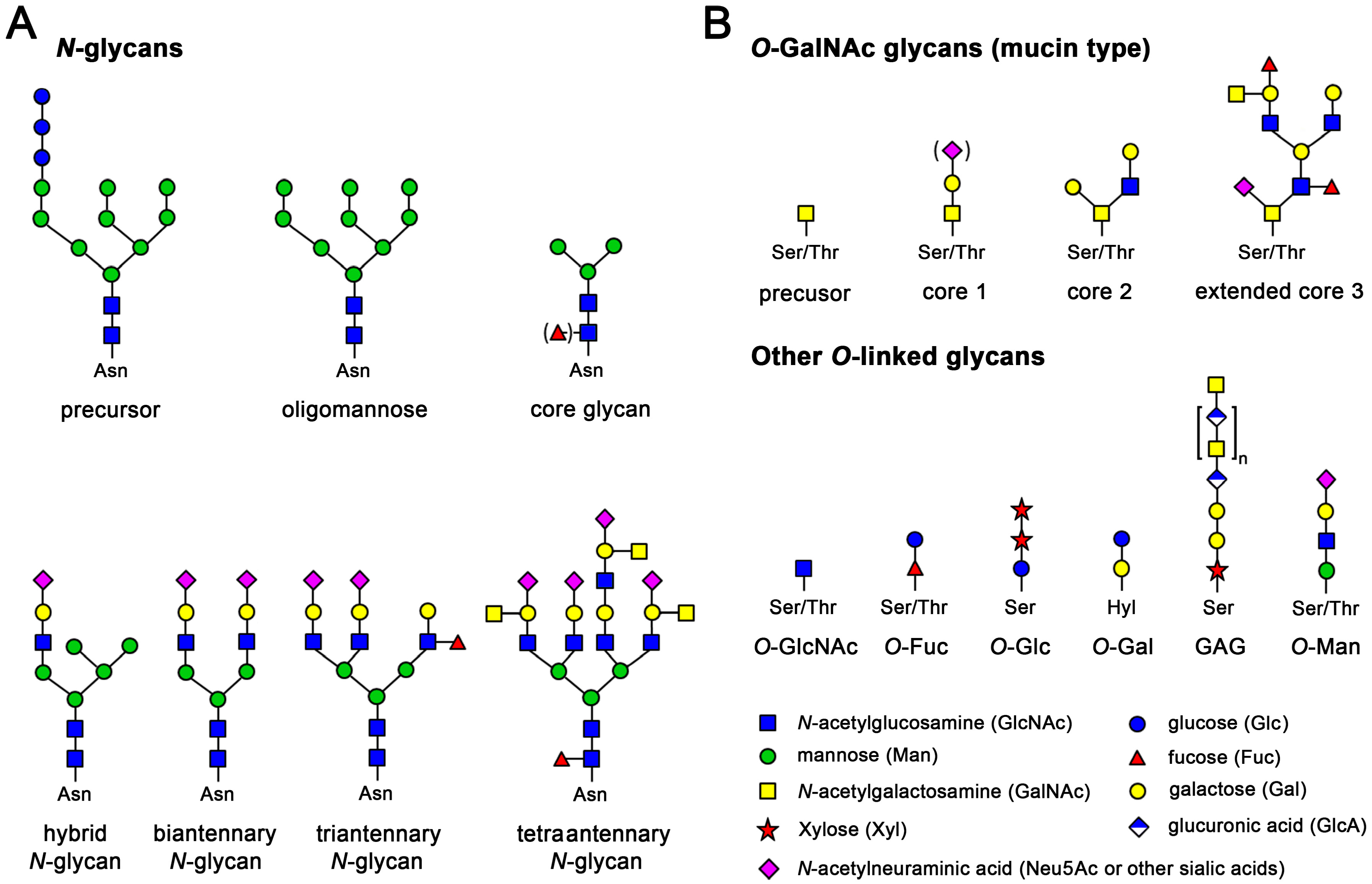 Ijms 17 01969 g001