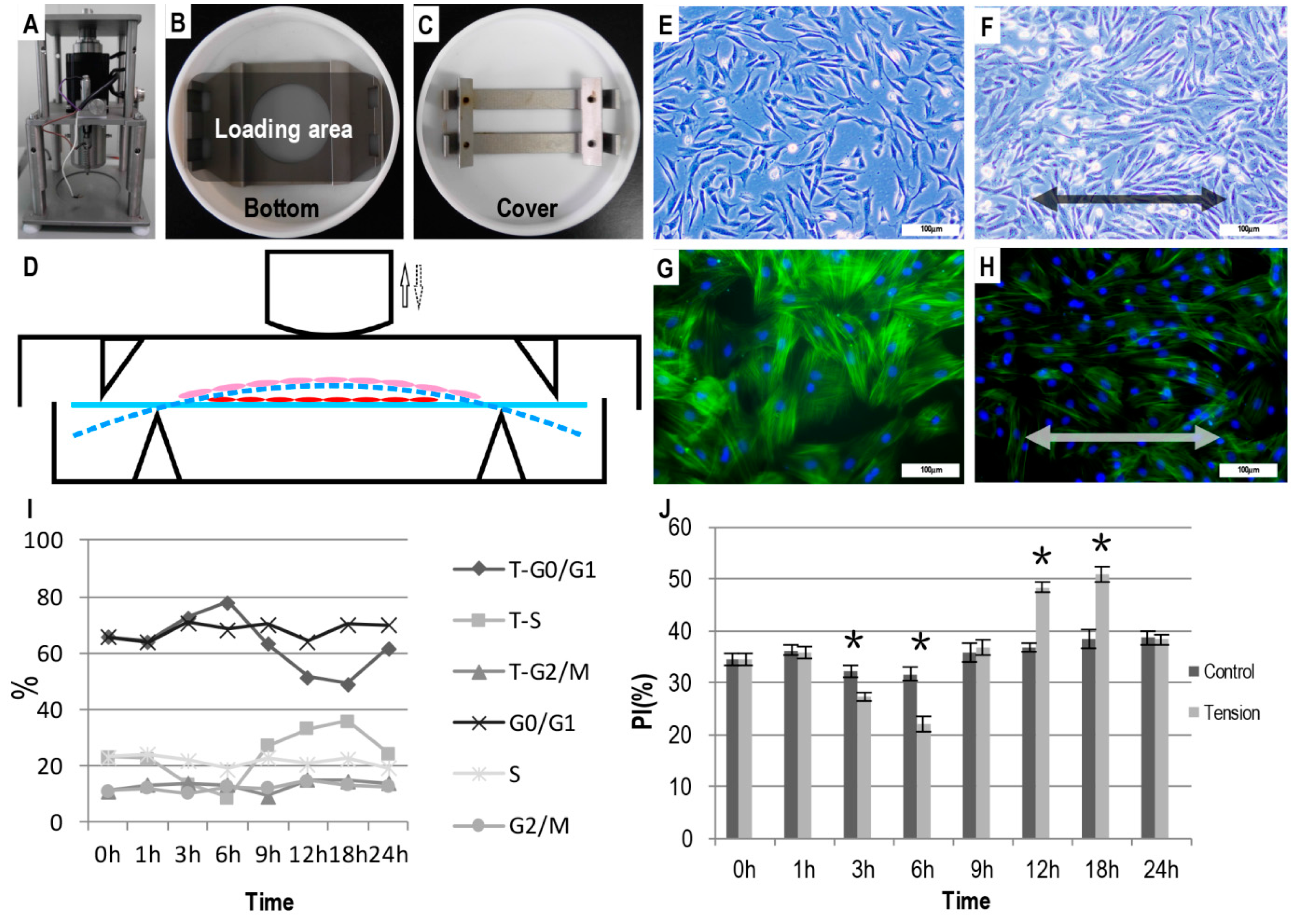 Ijms 17 02024 g001 550