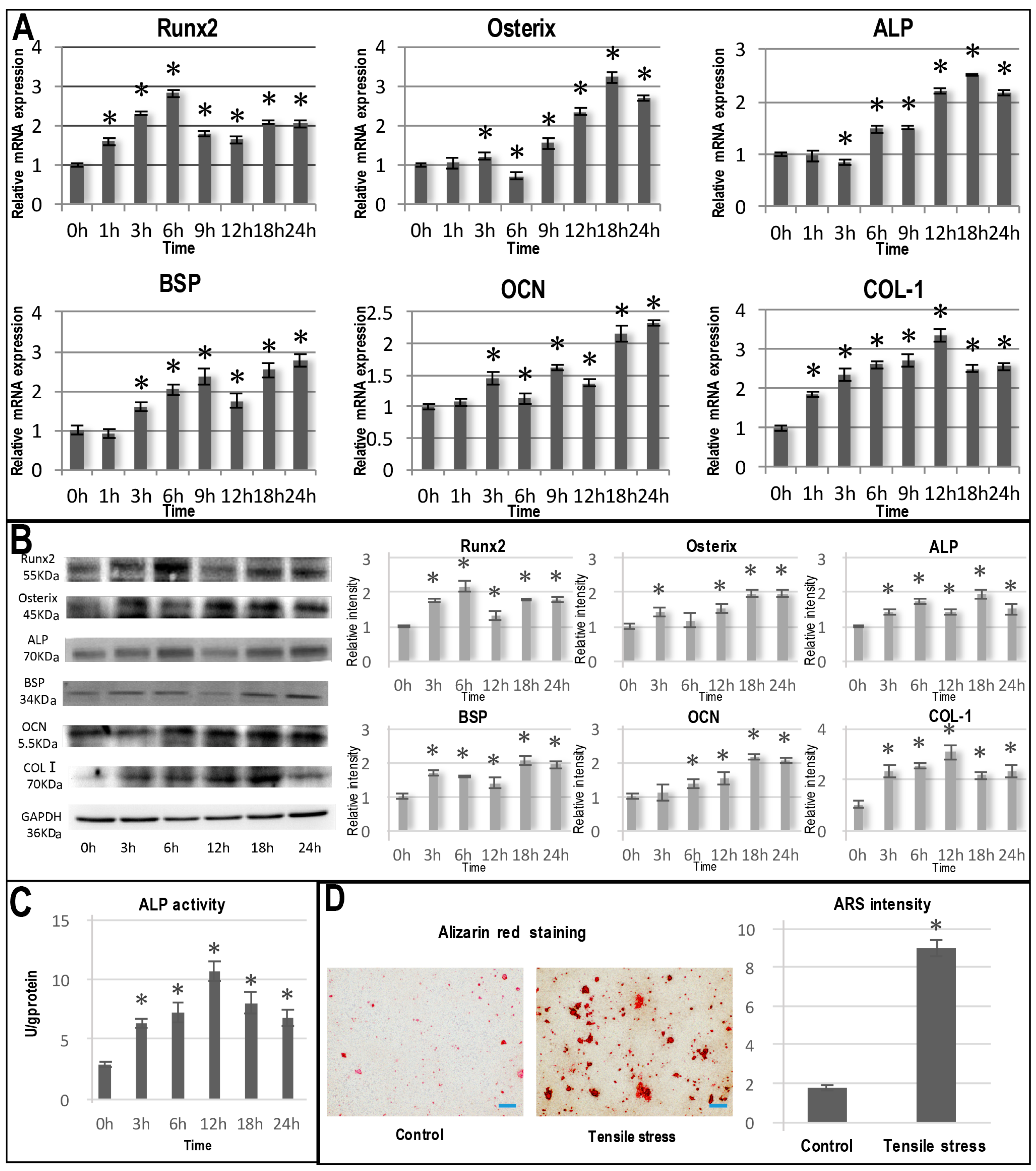 Ijms 17 02024 g002 550