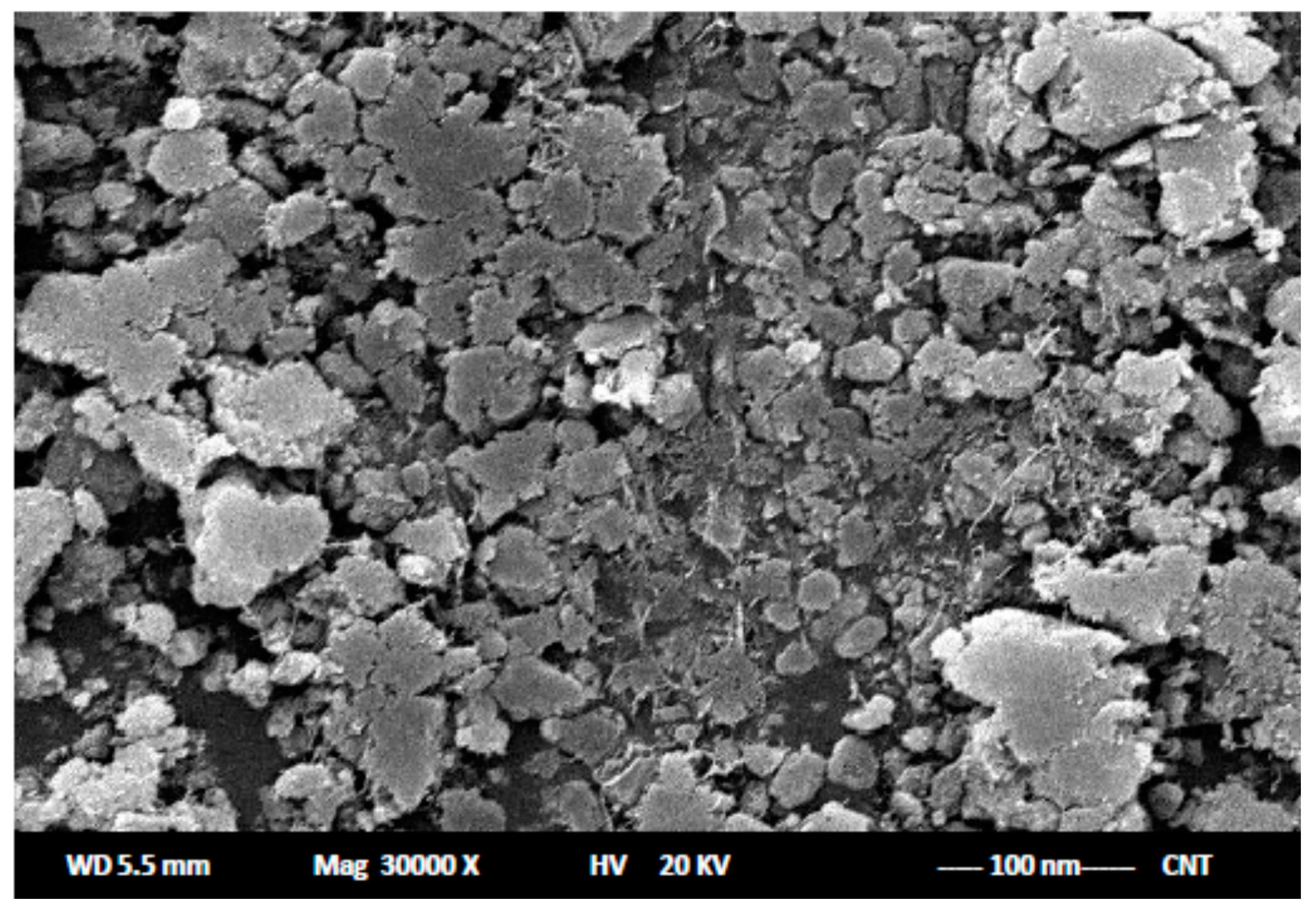 Ijms 17 02027 g005 550