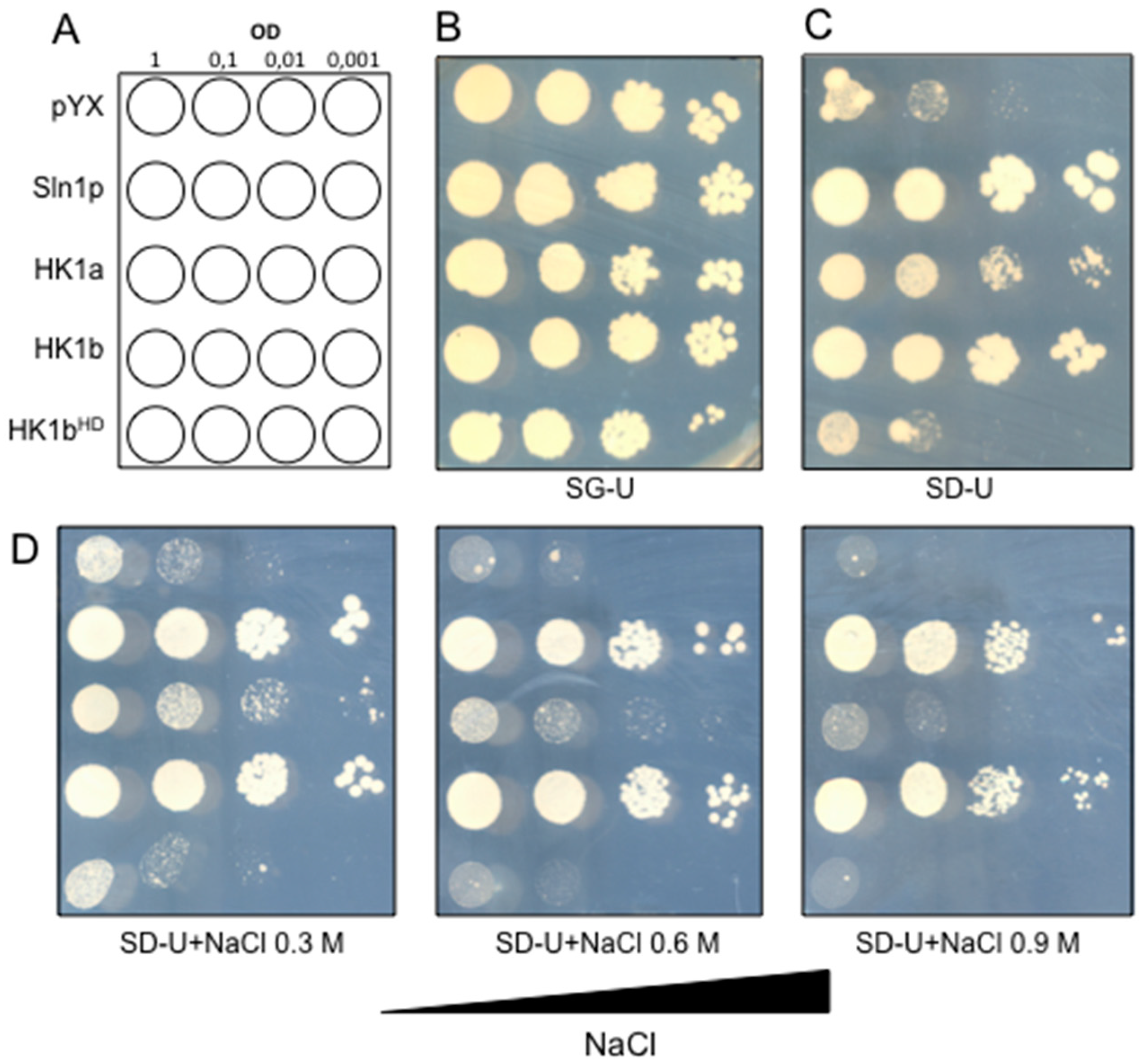 Ijms 17 02061 g007 550