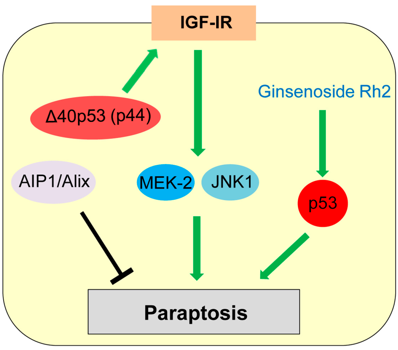 Ijms 17 02068 g006