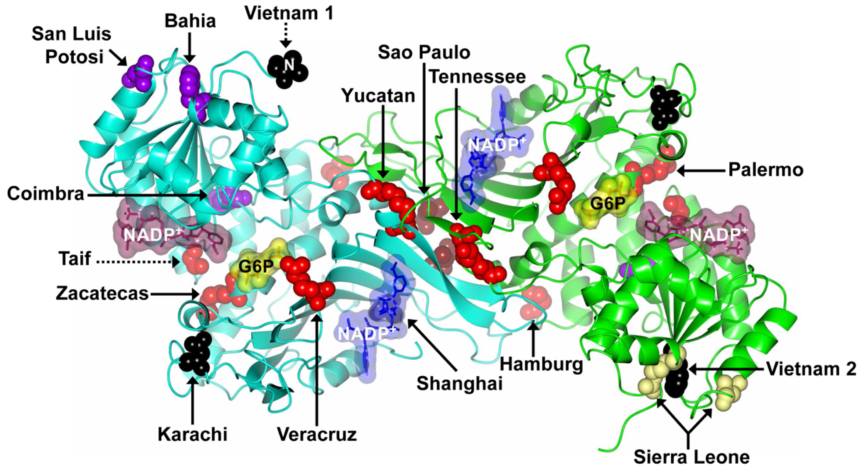 Ijms 17 02069 g004