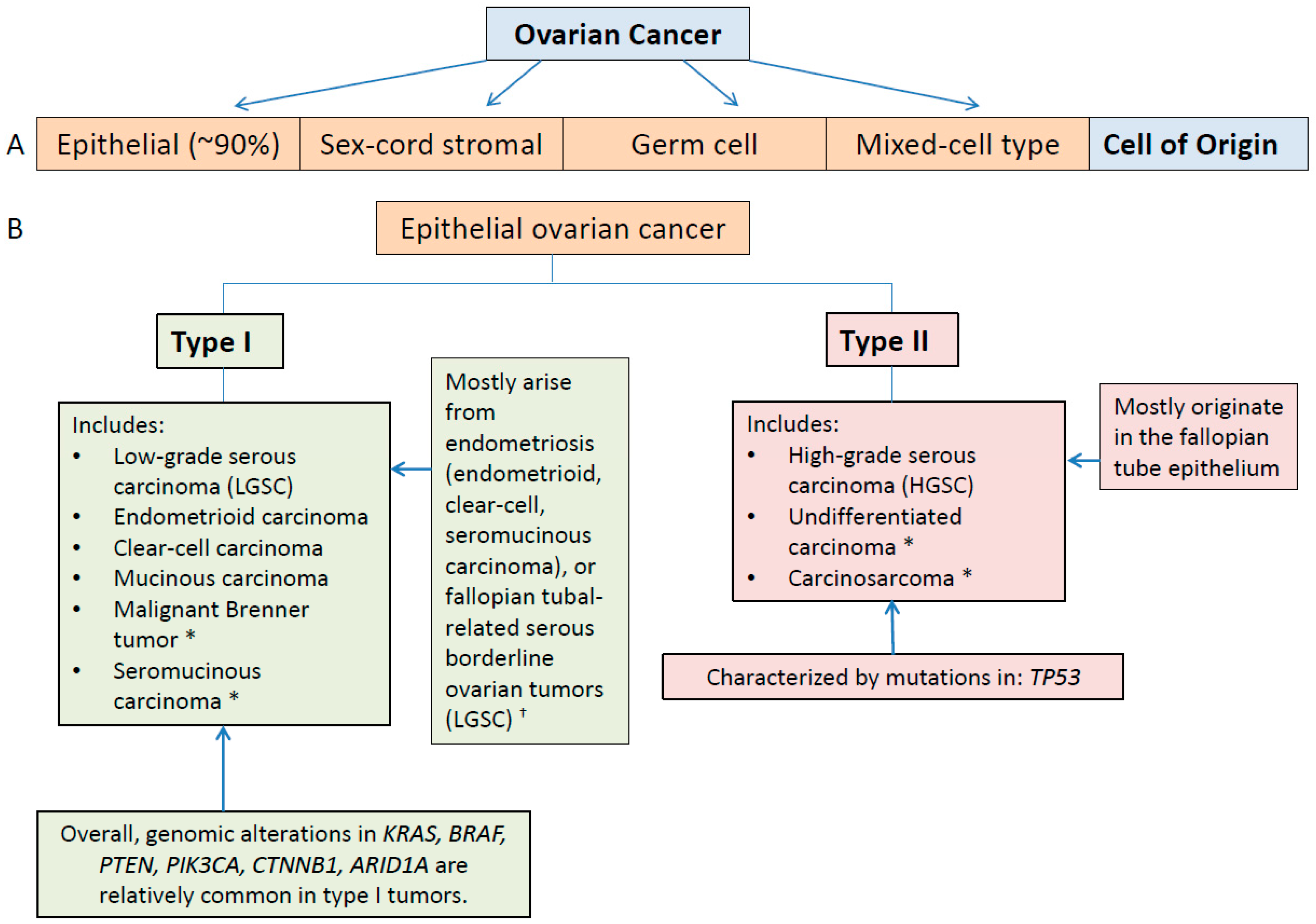 Cancerul ovarian – Spitalul Universitar de Urgenţă Militar Central Dr. Carol Davila