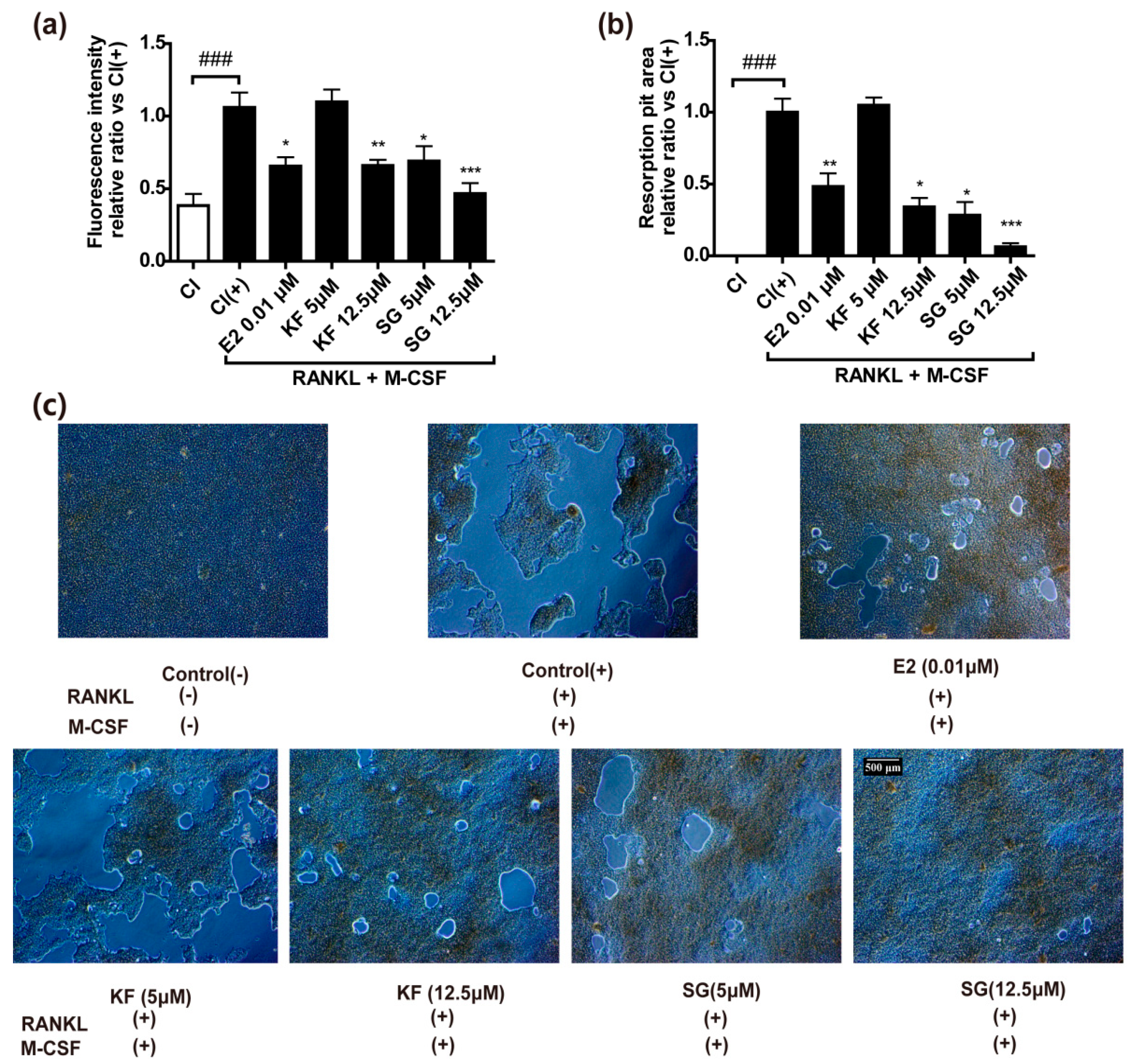 Ijms 17 02116 g005 550