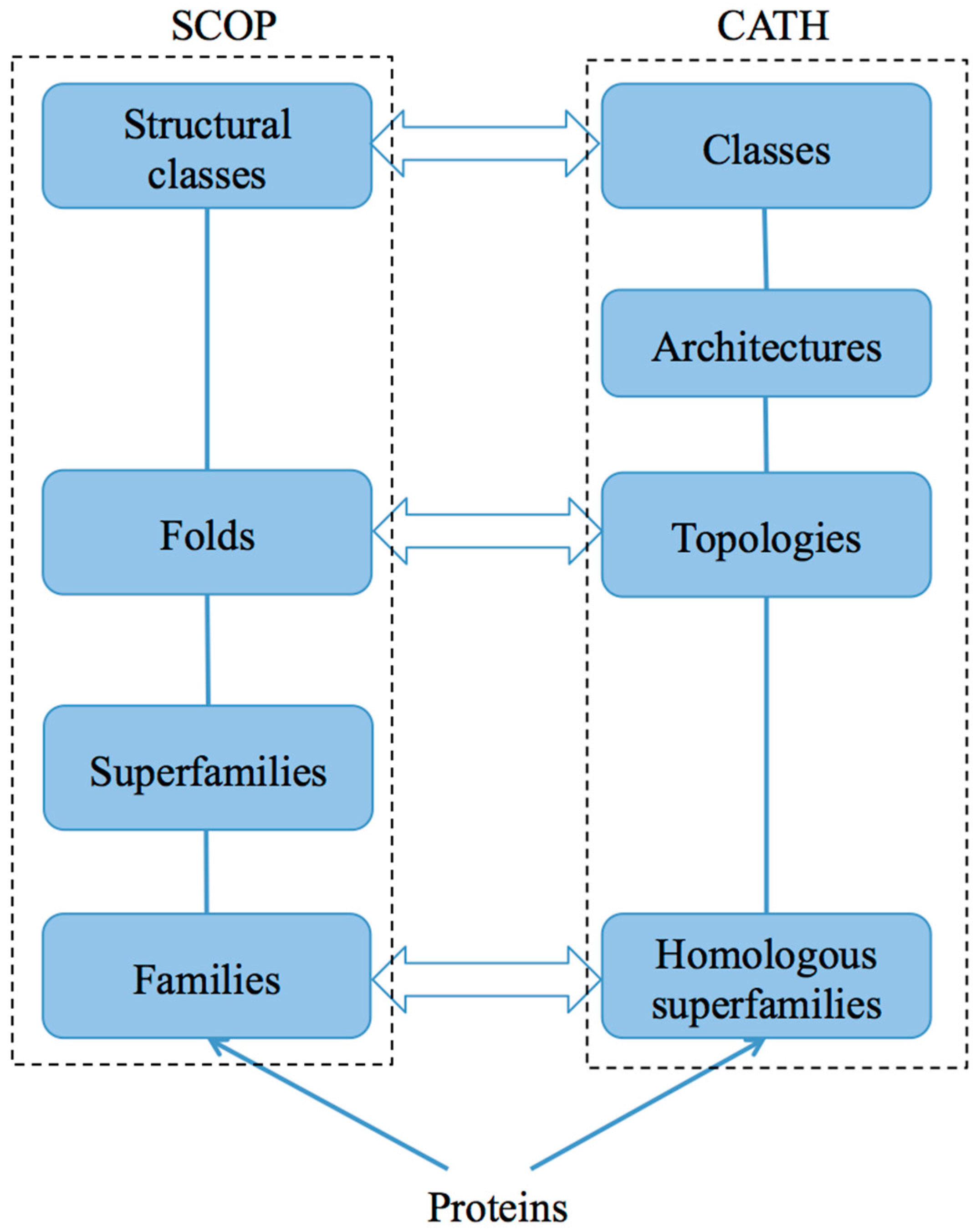 Ijms 17 02118 g001 550