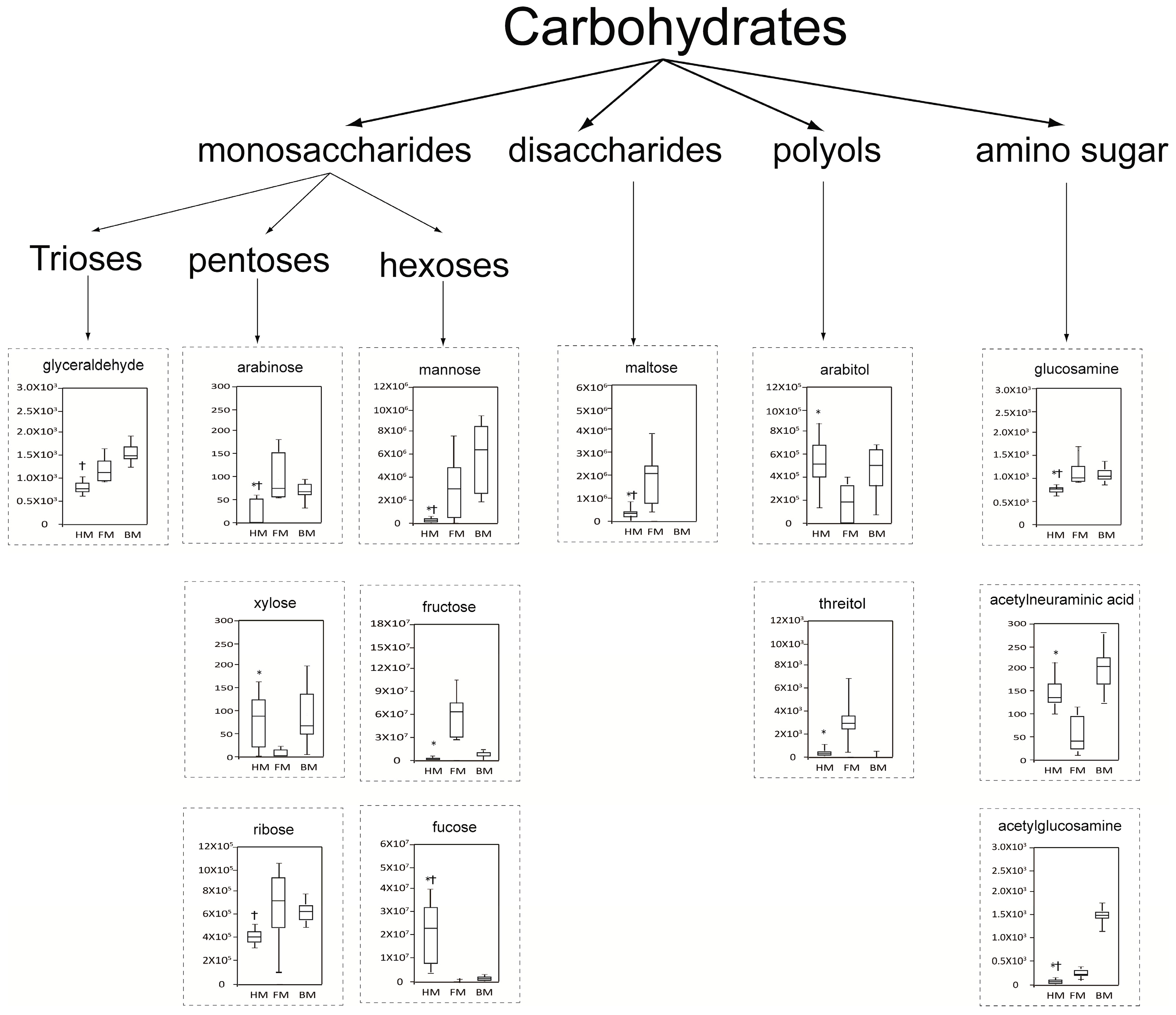 Ijms 17 02128 g006 550