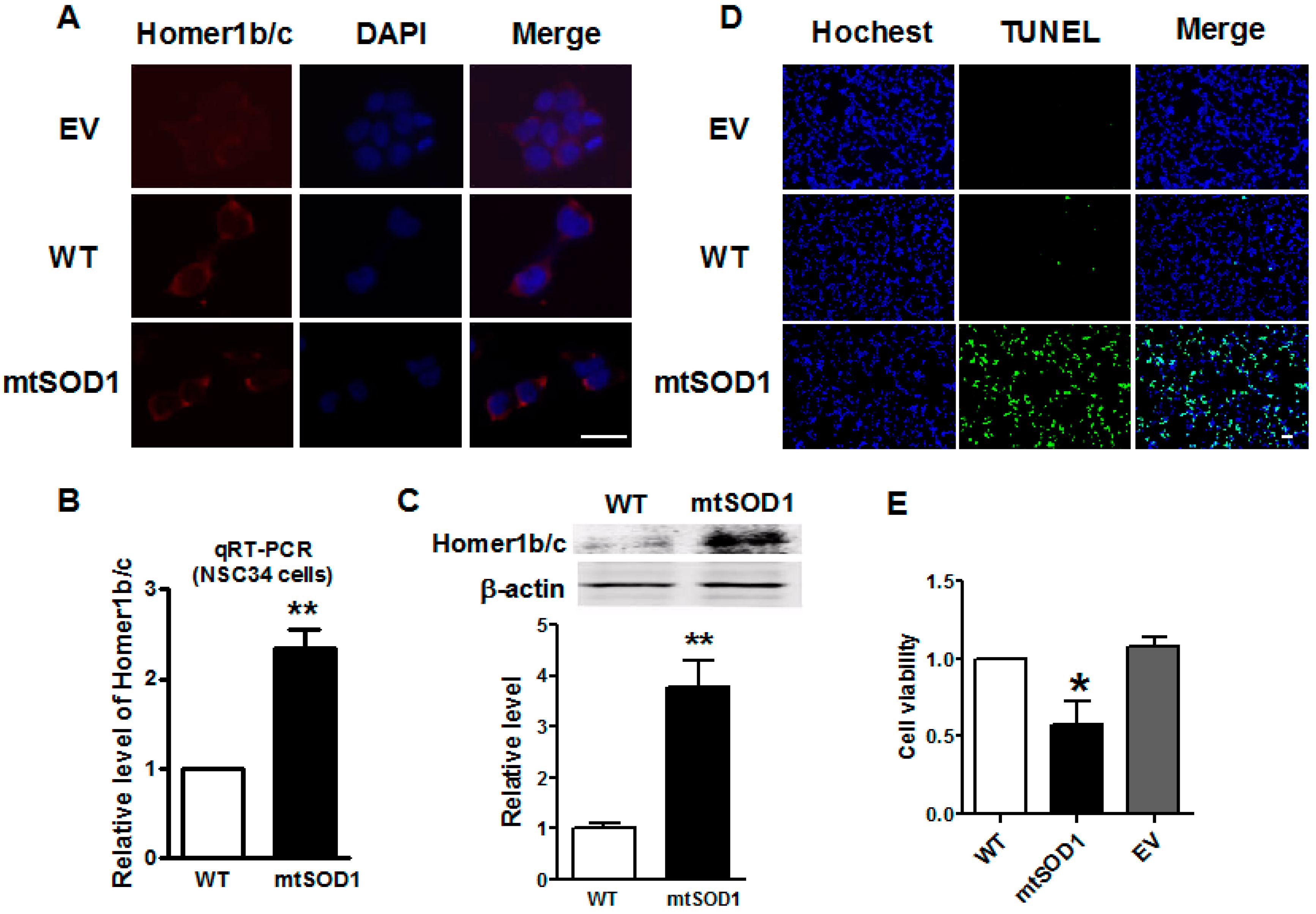 Ijms 17 02129 g002 550