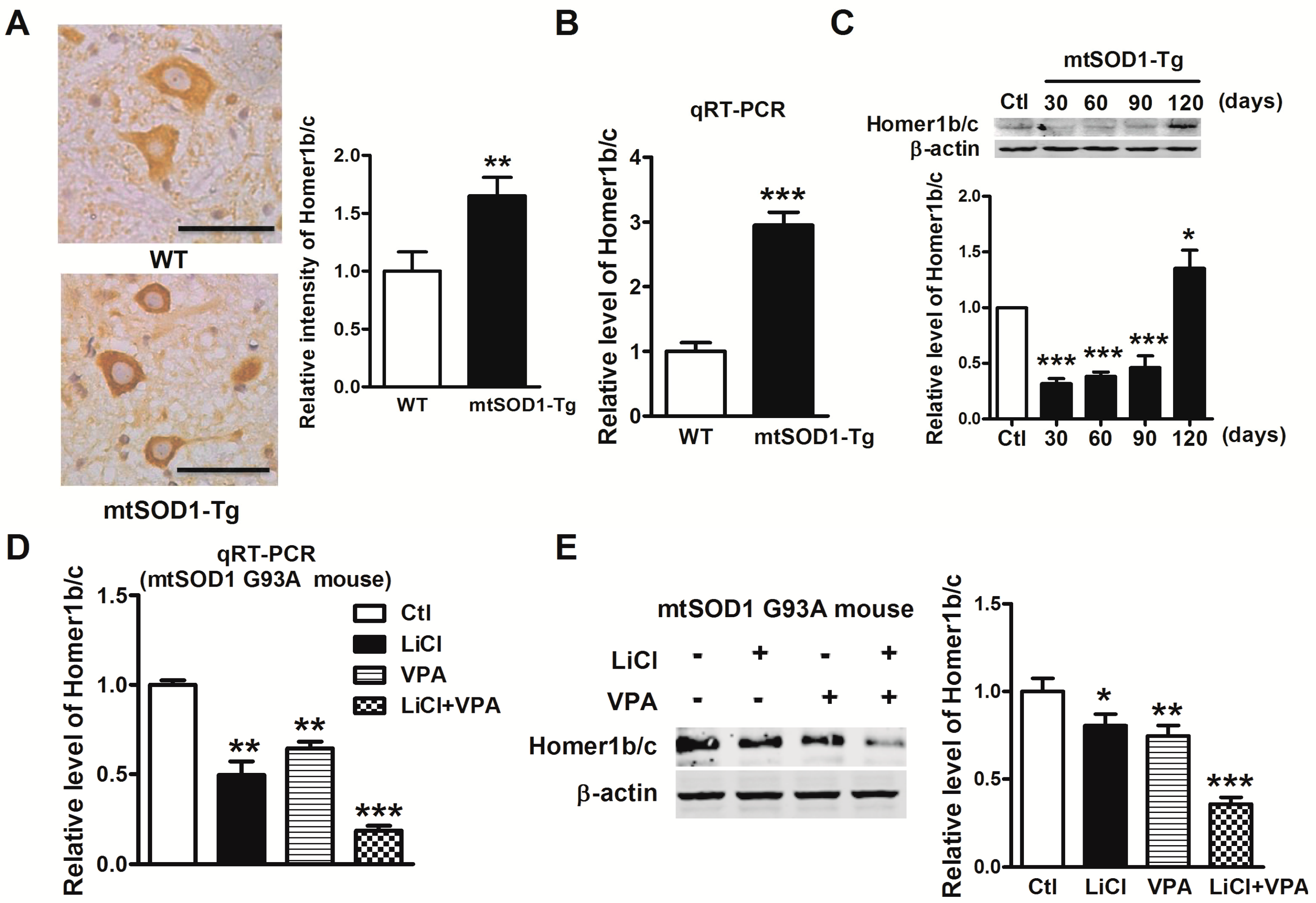 Ijms 17 02129 g005 550